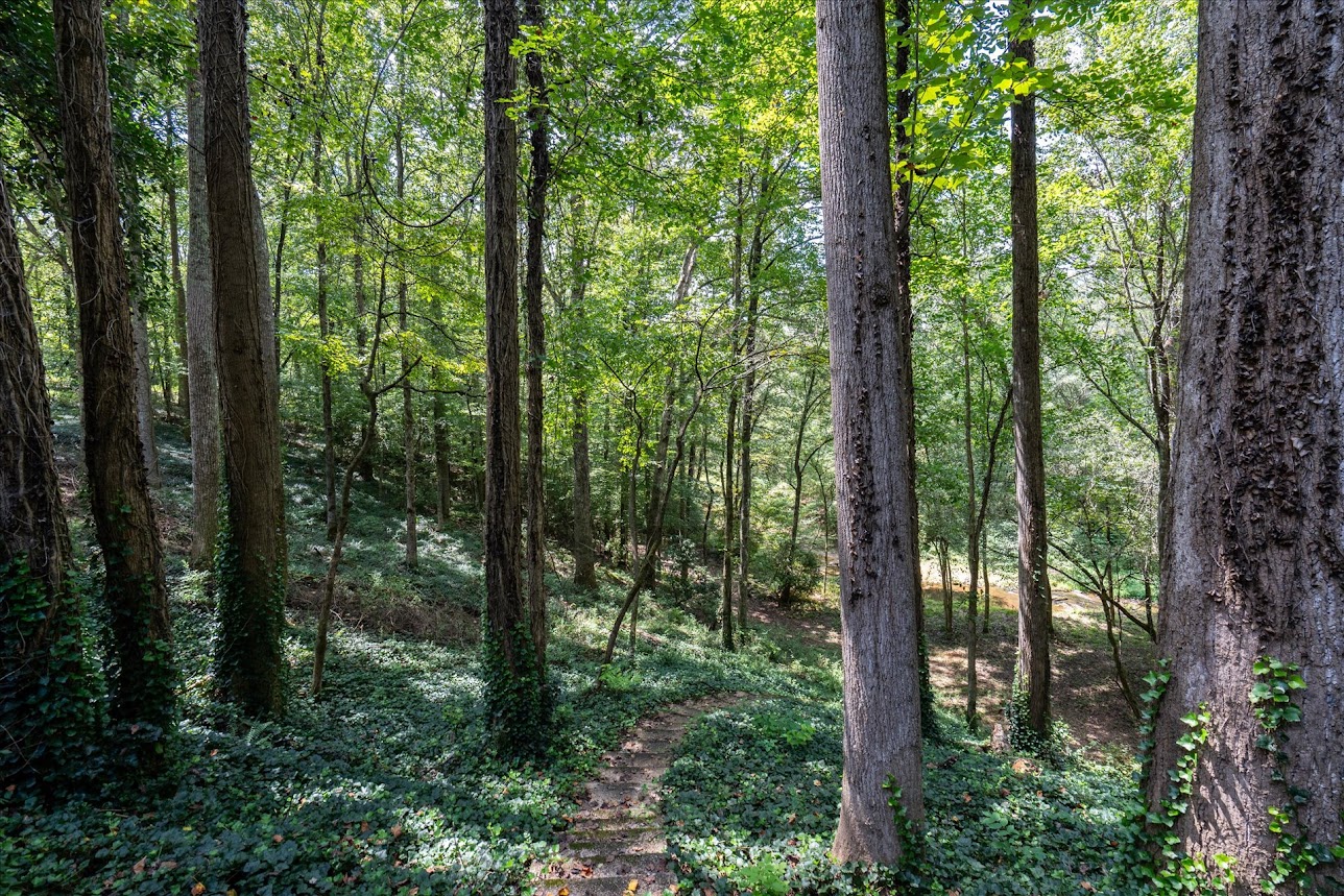 Carrollton, Georgia, 30116, United States, 4 Bedrooms Bedrooms, ,3 BathroomsBathrooms,Residential,For Sale,2005638