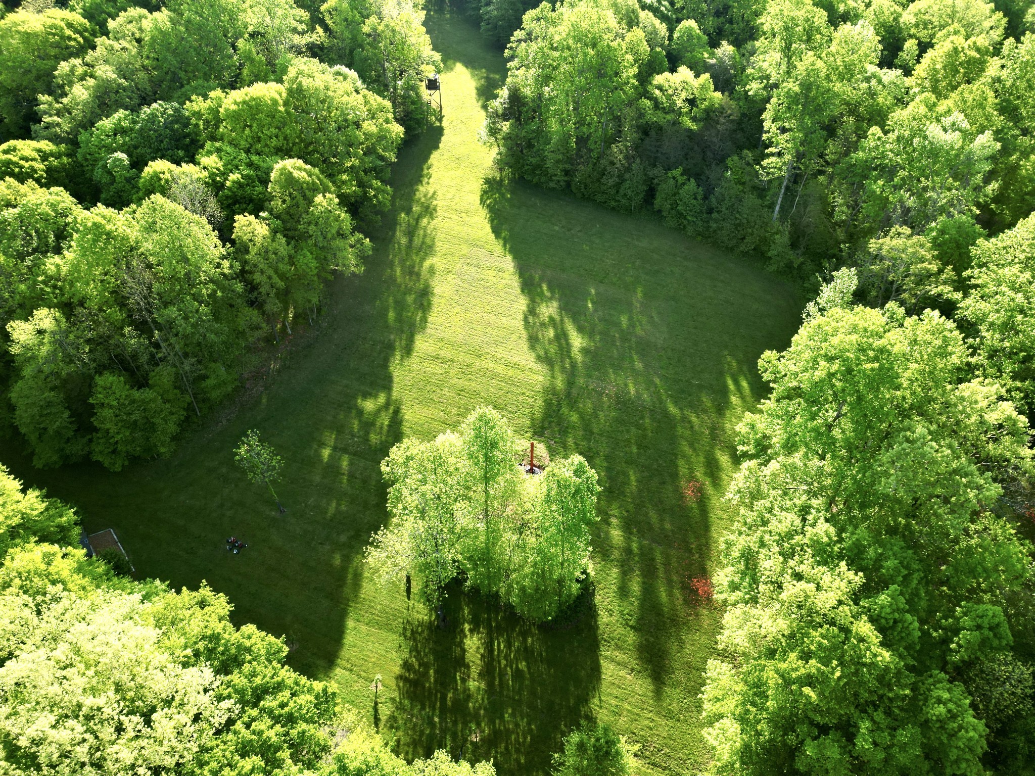  3975 Jarman Hollow Rd, Palmyra, TN, 37142 - 物件實景