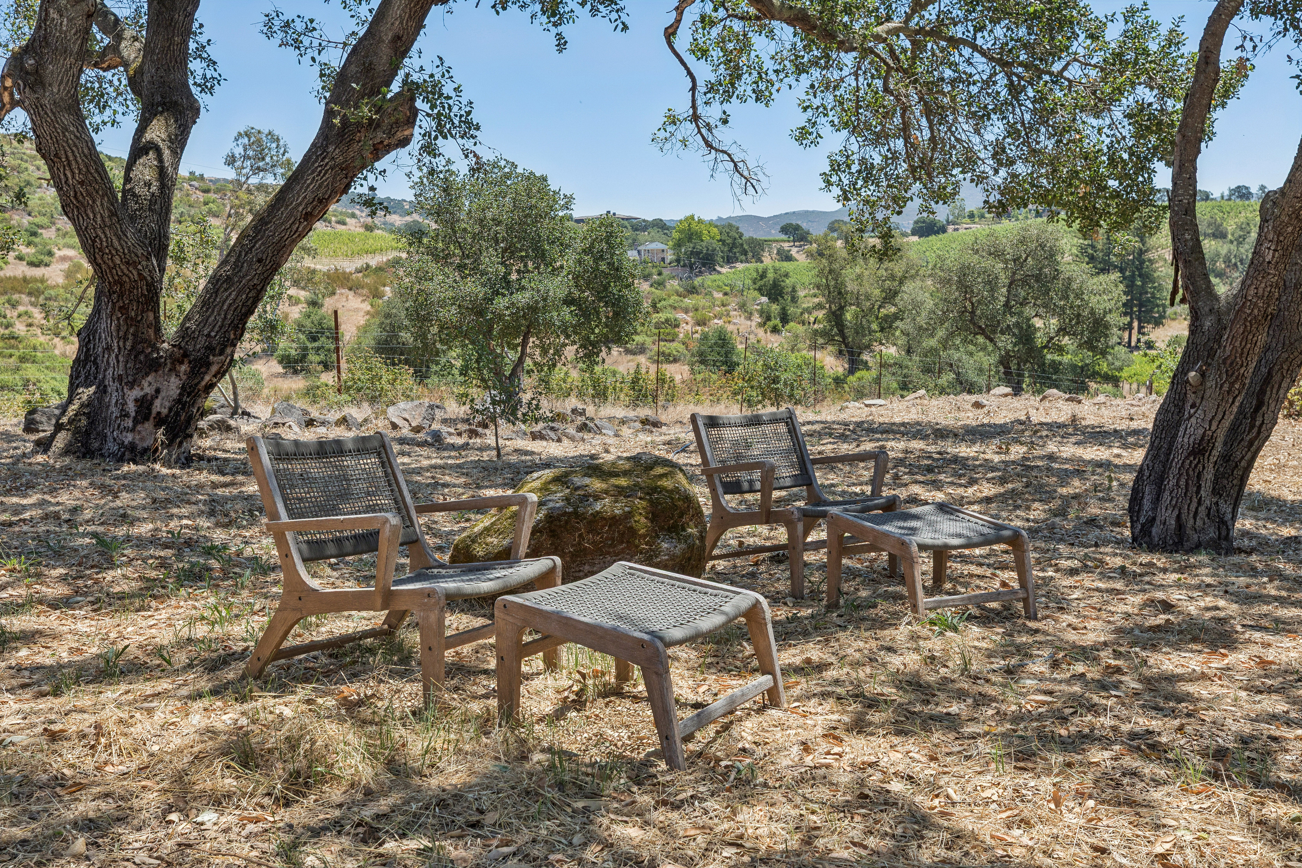  Refined Wine Country Estate - 物件實景
