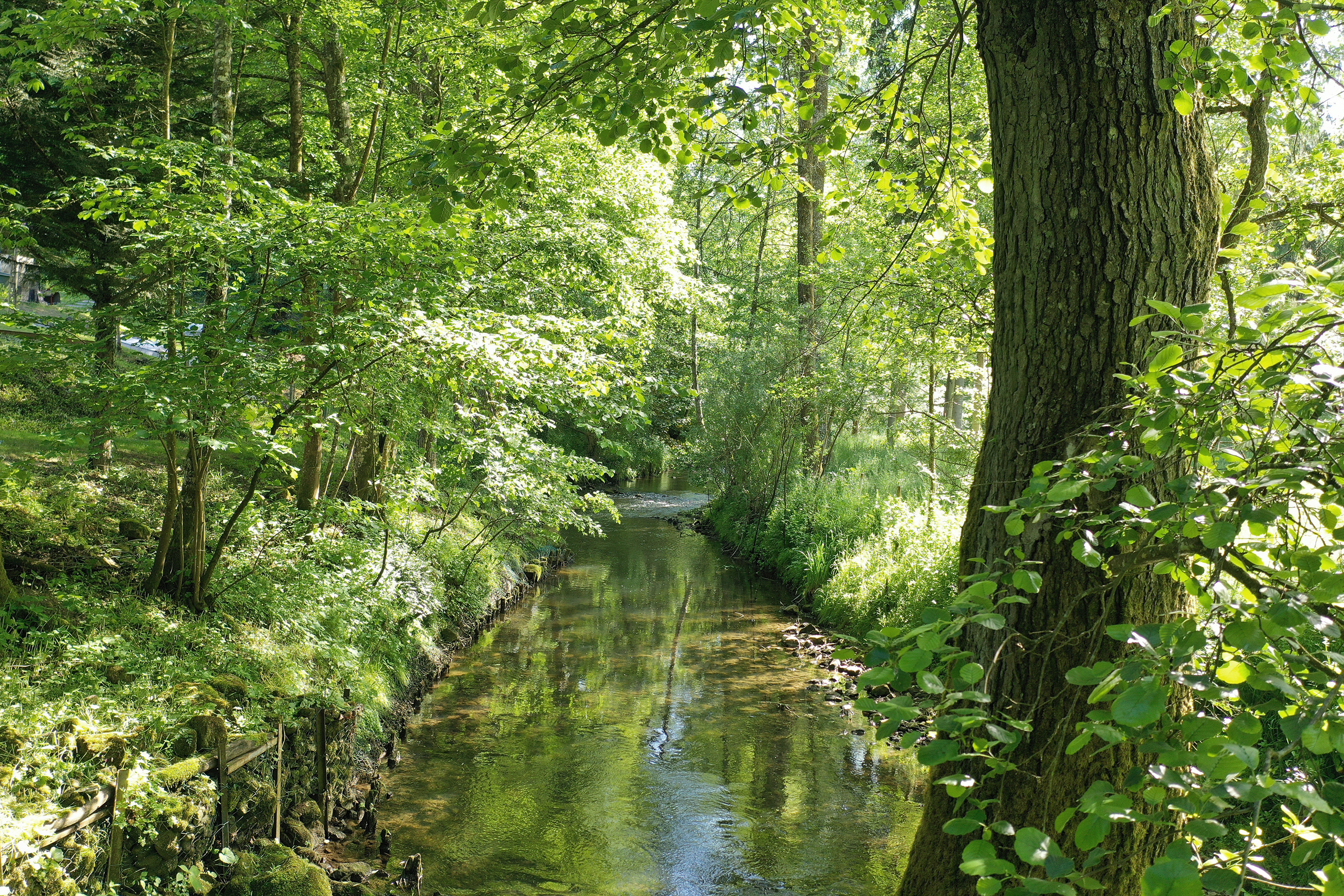  Villa in Kopstal - 物件實景