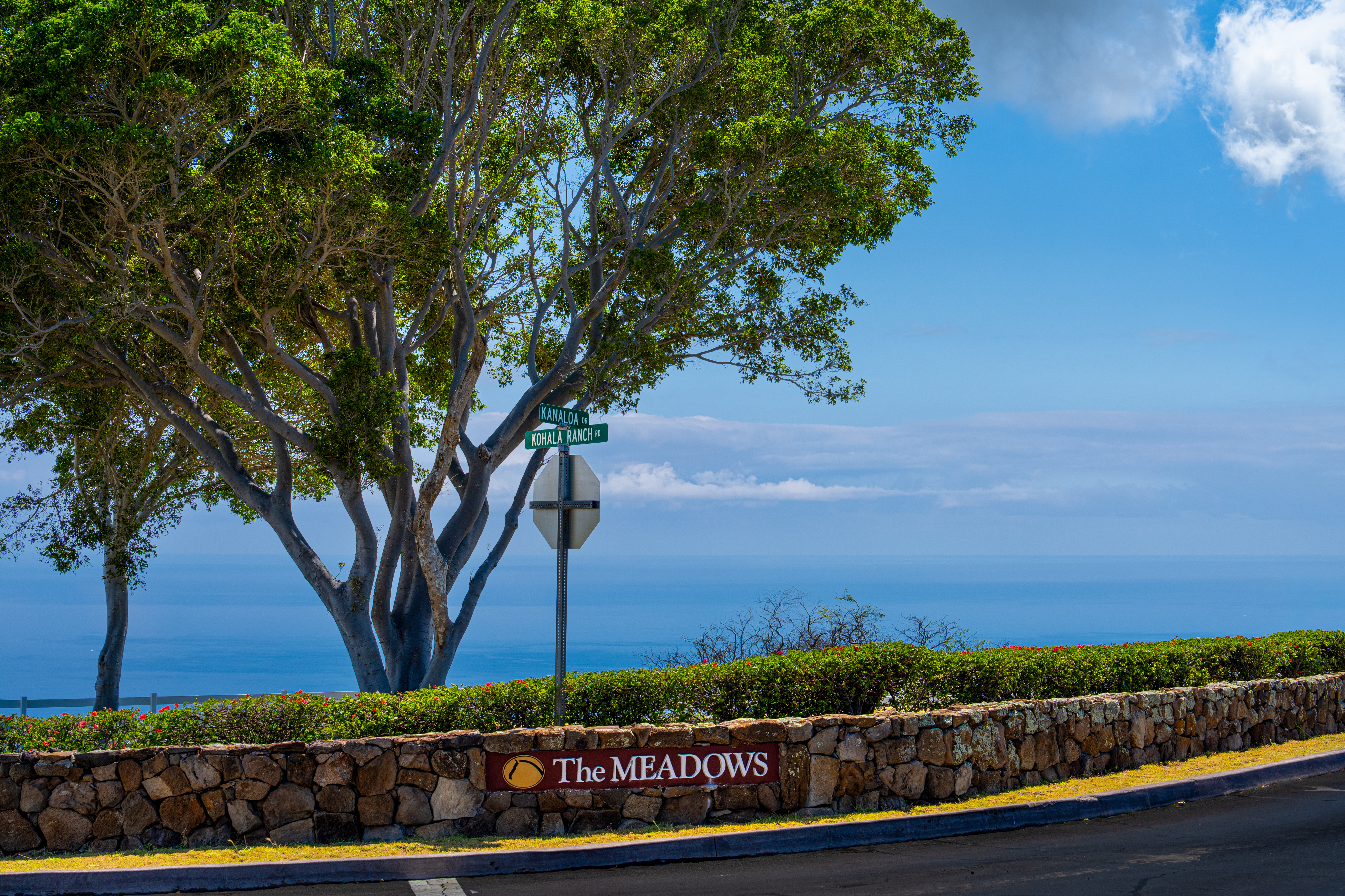  695 Ualani Pl, Kamuela, HI, 96743 - 物件實景