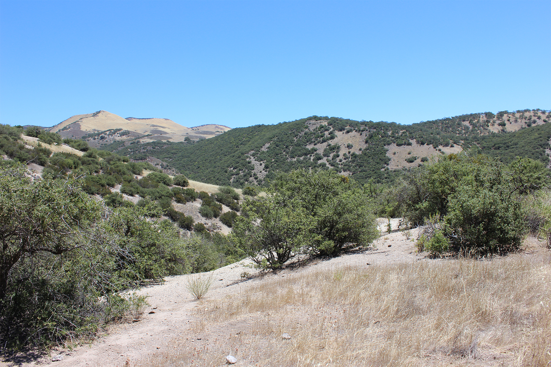  0 East Carmel Valley Road - 物件實景