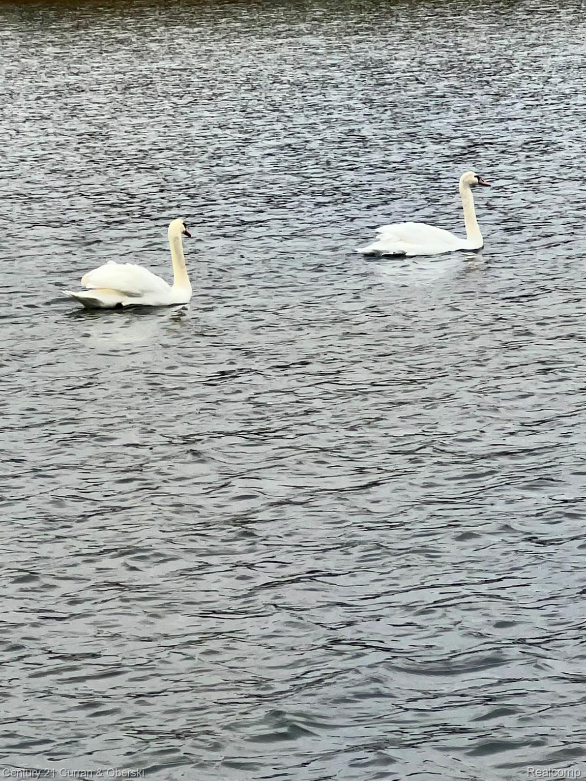 Jackson, Michigan, 49201, United States, 3 Bedrooms Bedrooms, ,3 BathroomsBathrooms,Residential,For Sale,1981223