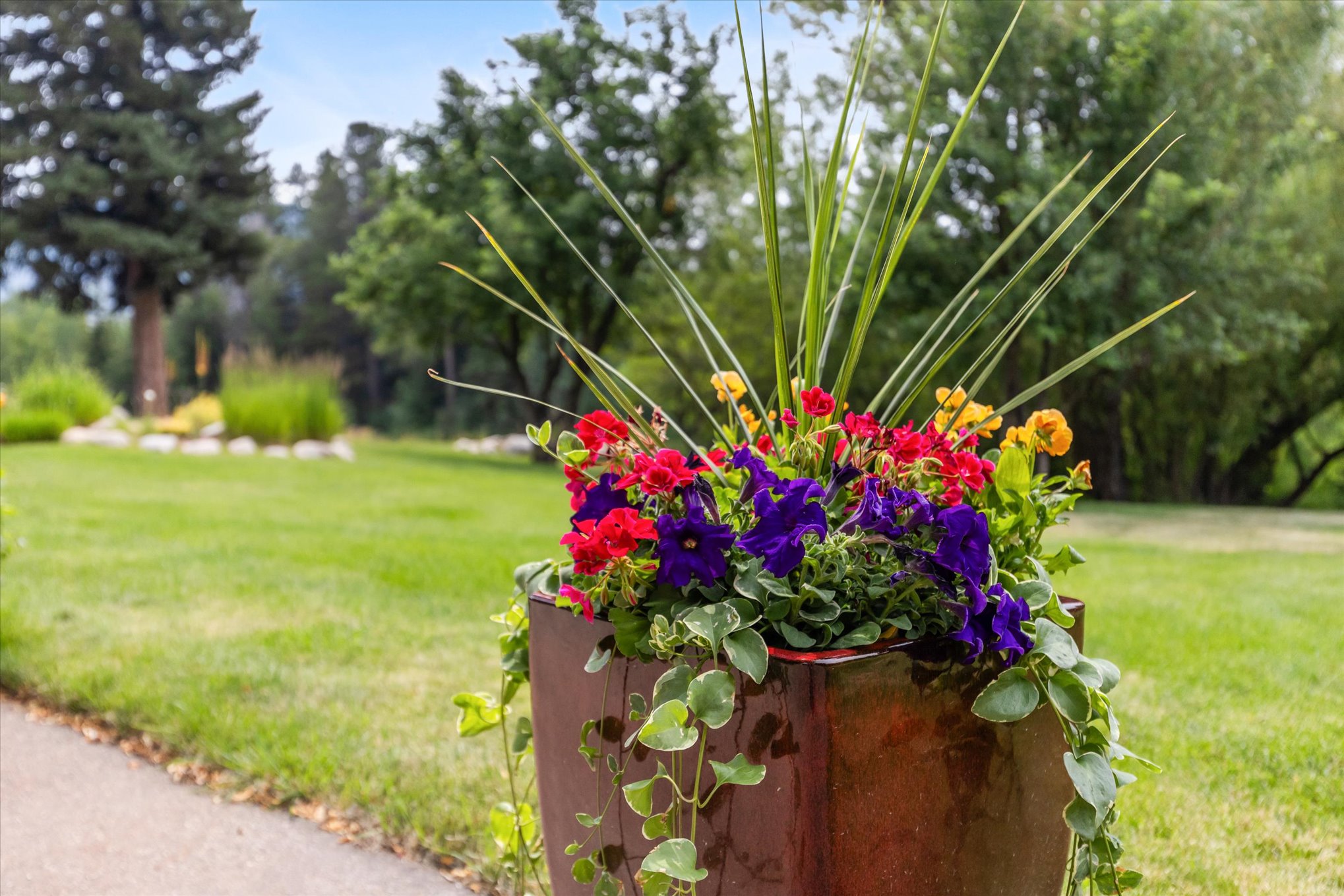  1184 Anglers Drive, Steamboat Springs, CO 80487 - 物件實景
