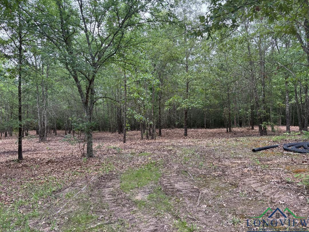 Bogata, Texas, 75417, United States, 1 Bedroom Bedrooms, ,1 BathroomBathrooms,Residential,For Sale,1712686