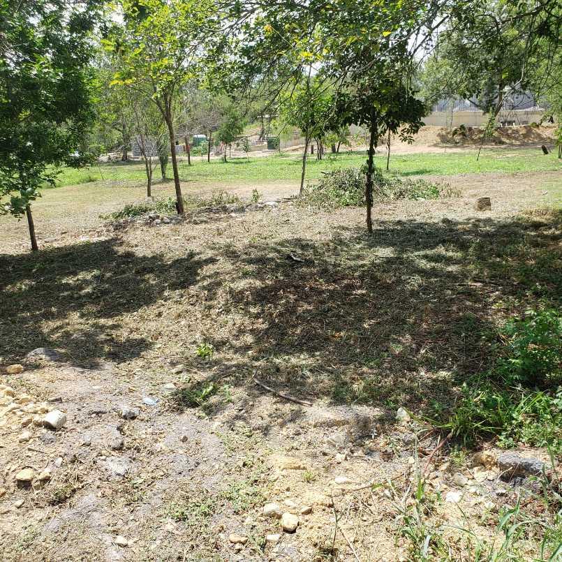 gonzalez, Santiago, Nuevo León, 67300, Mexico, 1 Bedroom Bedrooms, ,Residential,For Sale,gonzalez,1441494