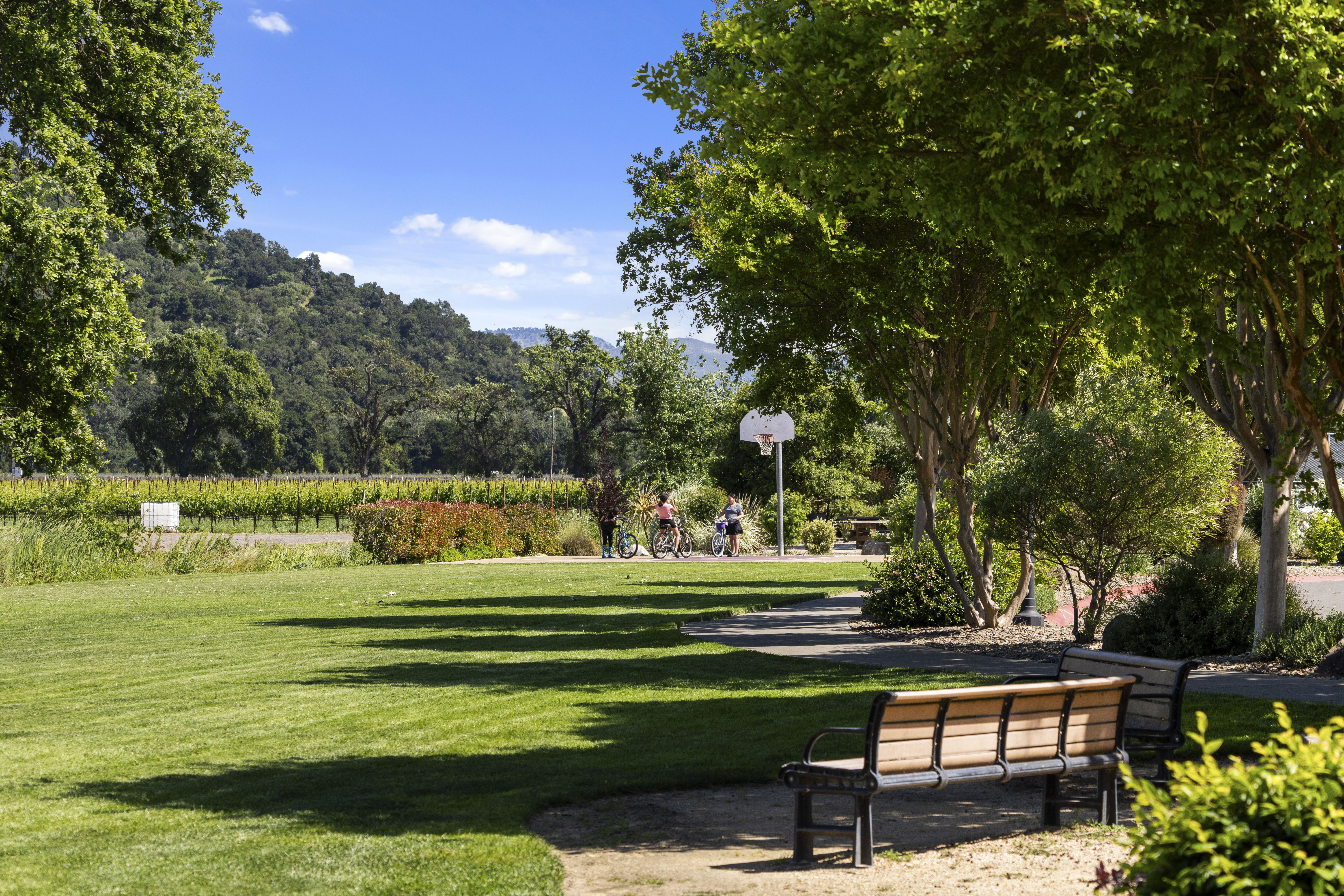  An Exceptional Wine Country Opportunity in the Heart of Yountville - 物件實景