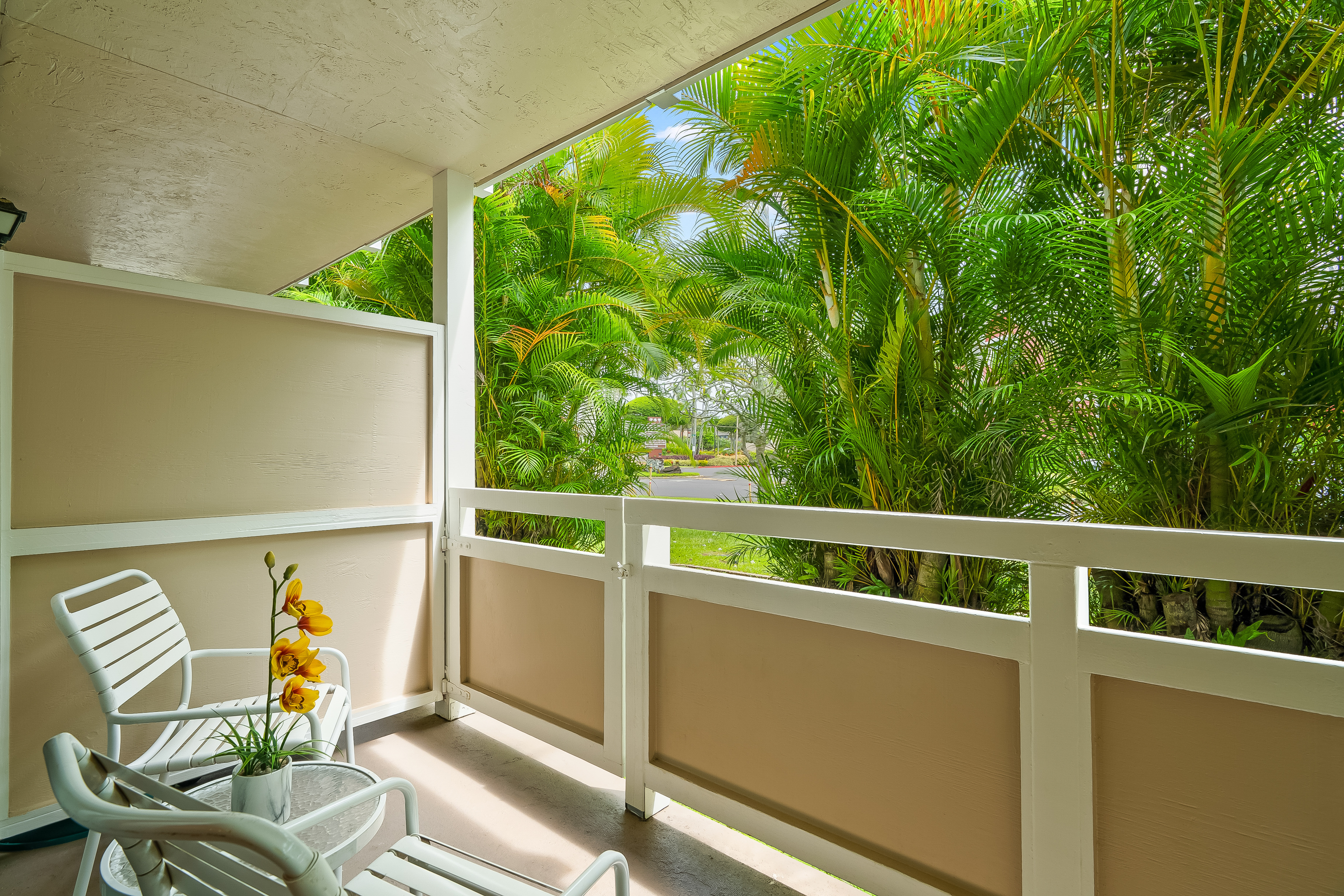  525 Aleka Lp, Kapaa, HI, 96746 - 物件實景