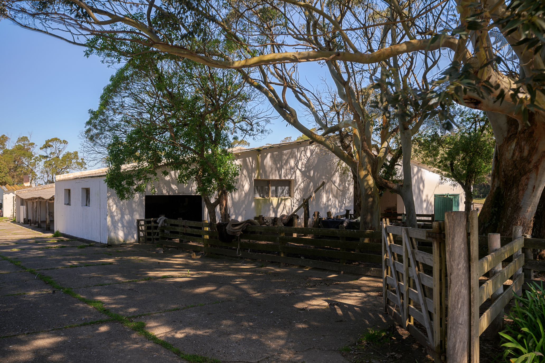  La Virazón  597-Hectare Oceanfront Estate in Rocha, Uruguay - 物件實景