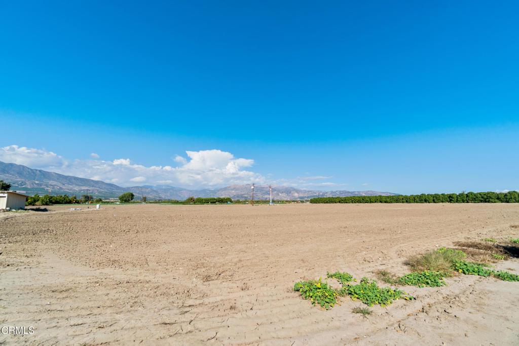 Fillmore, California, 93015, United States, ,Land,For Sale,1976940