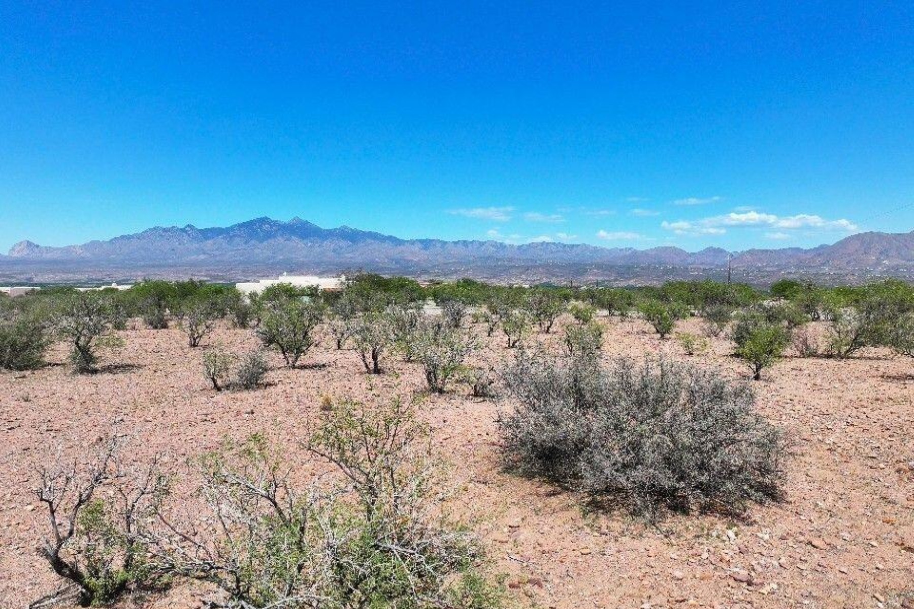  TBD Rock Canyon Trail ¦Tubac, AZ 85646 - 物件實景