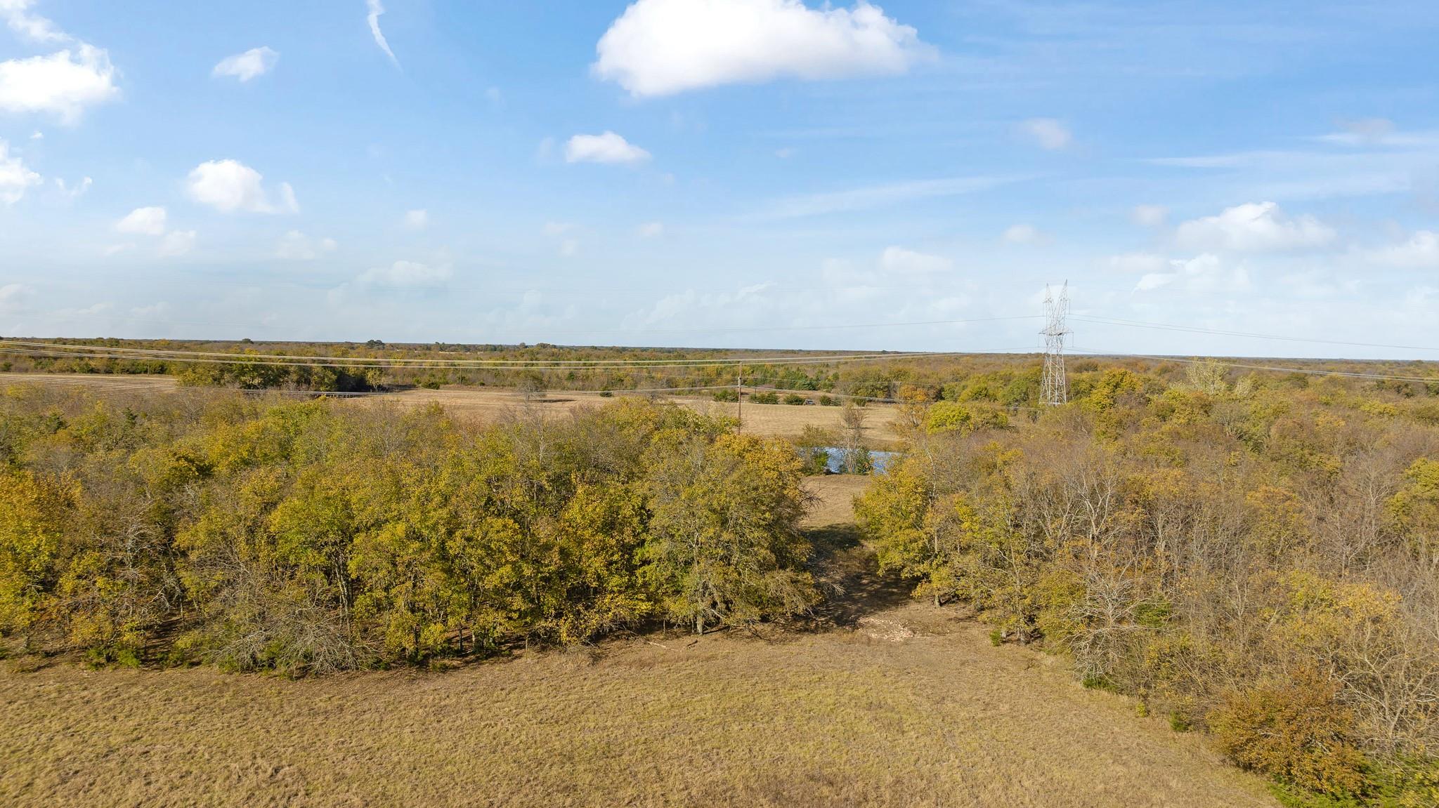 Honey Grove, Texas, 75446, United States, ,Land,For Sale,1992343