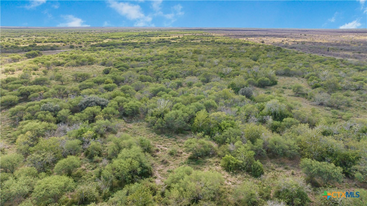 Tivoli, Texas, 77990, United States, ,Land,For Sale,1996181