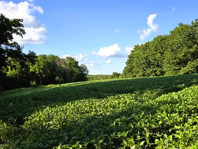 Soldiers Grove, Wisconsin, 54655, United States, ,Residential,For Sale,1904282