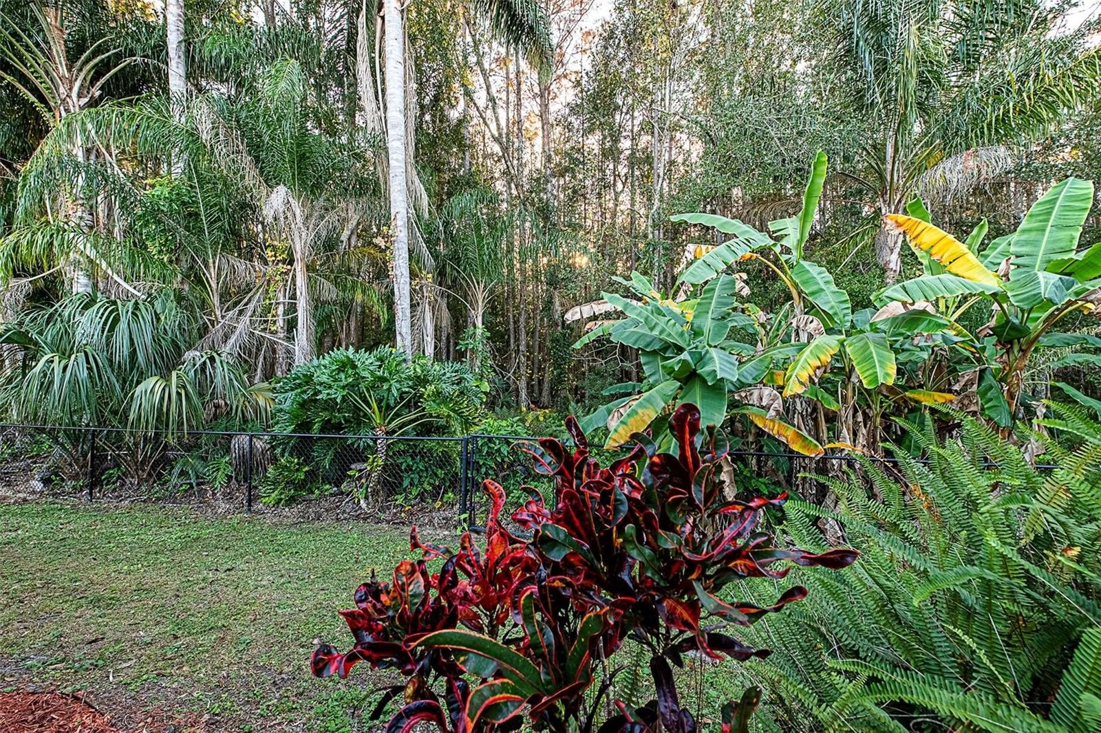 TARPON SPRINGS, Florida, 34688, United States, 4 Bedrooms Bedrooms, ,3 BathroomsBathrooms,Residential,For Sale,2005972