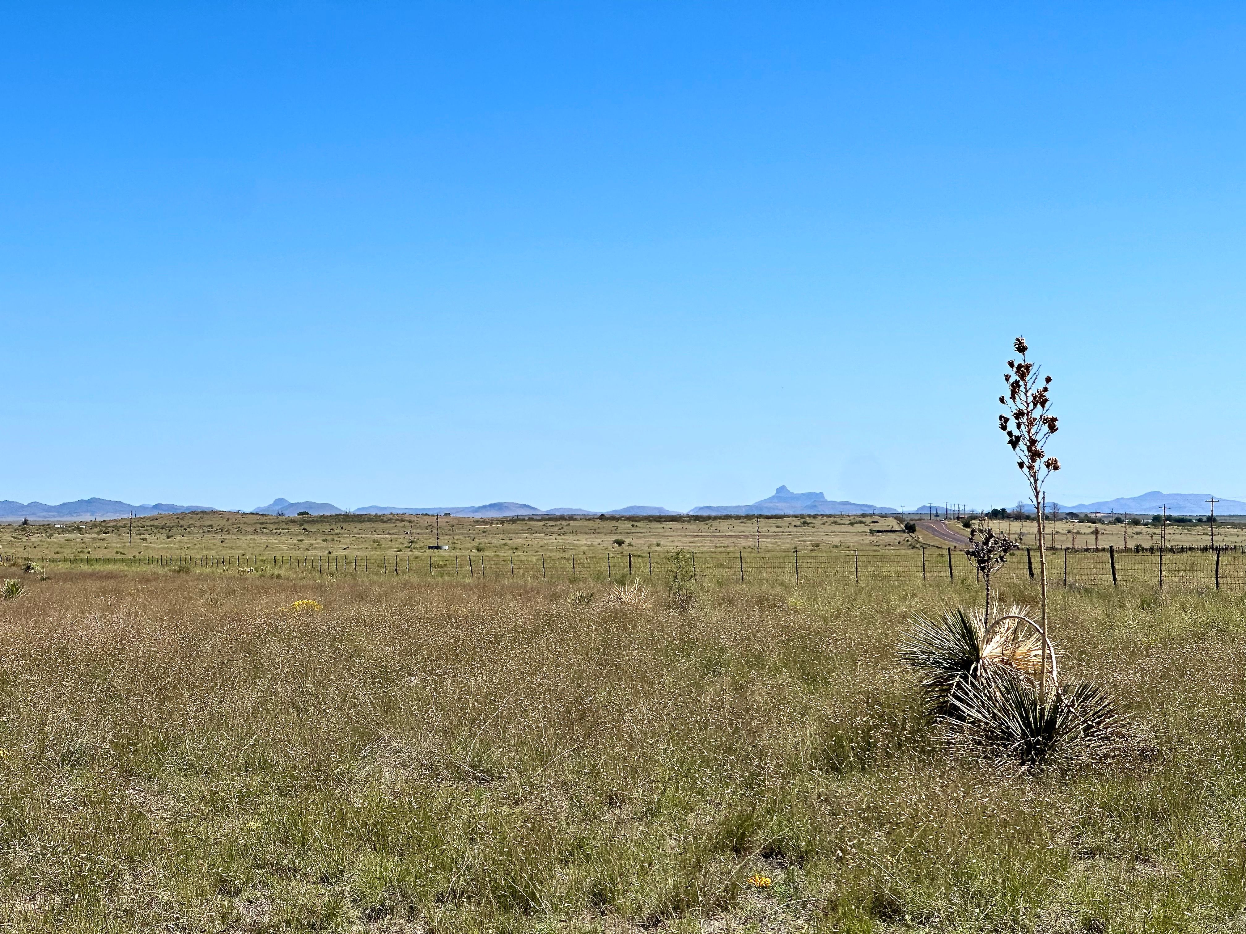  18311 Hwy 90, Marfa, TX 79843 - 物件實景