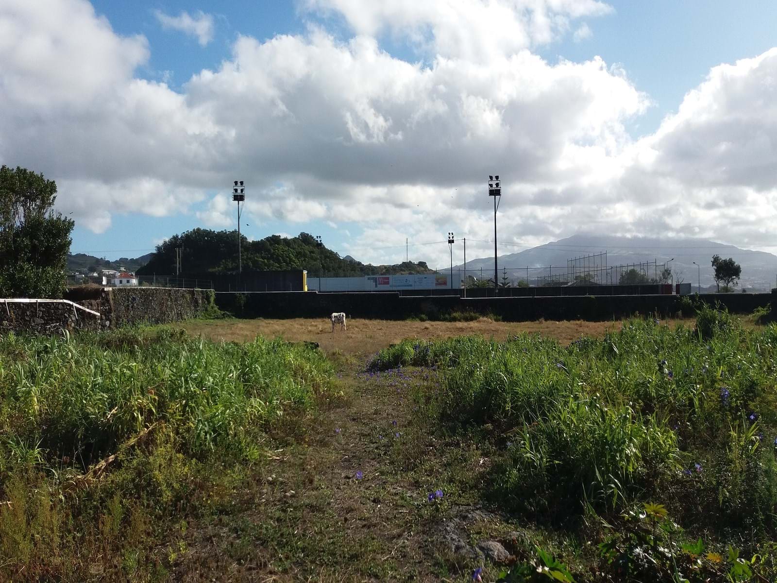 Ponta Delgada, Ilha de São Miguel, 9500-000, PT, ,Land,For Sale,1700309