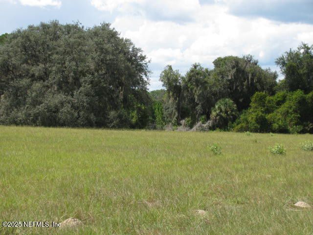Crescent City, Florida, 32112, United States, ,Land,For Sale,1974247