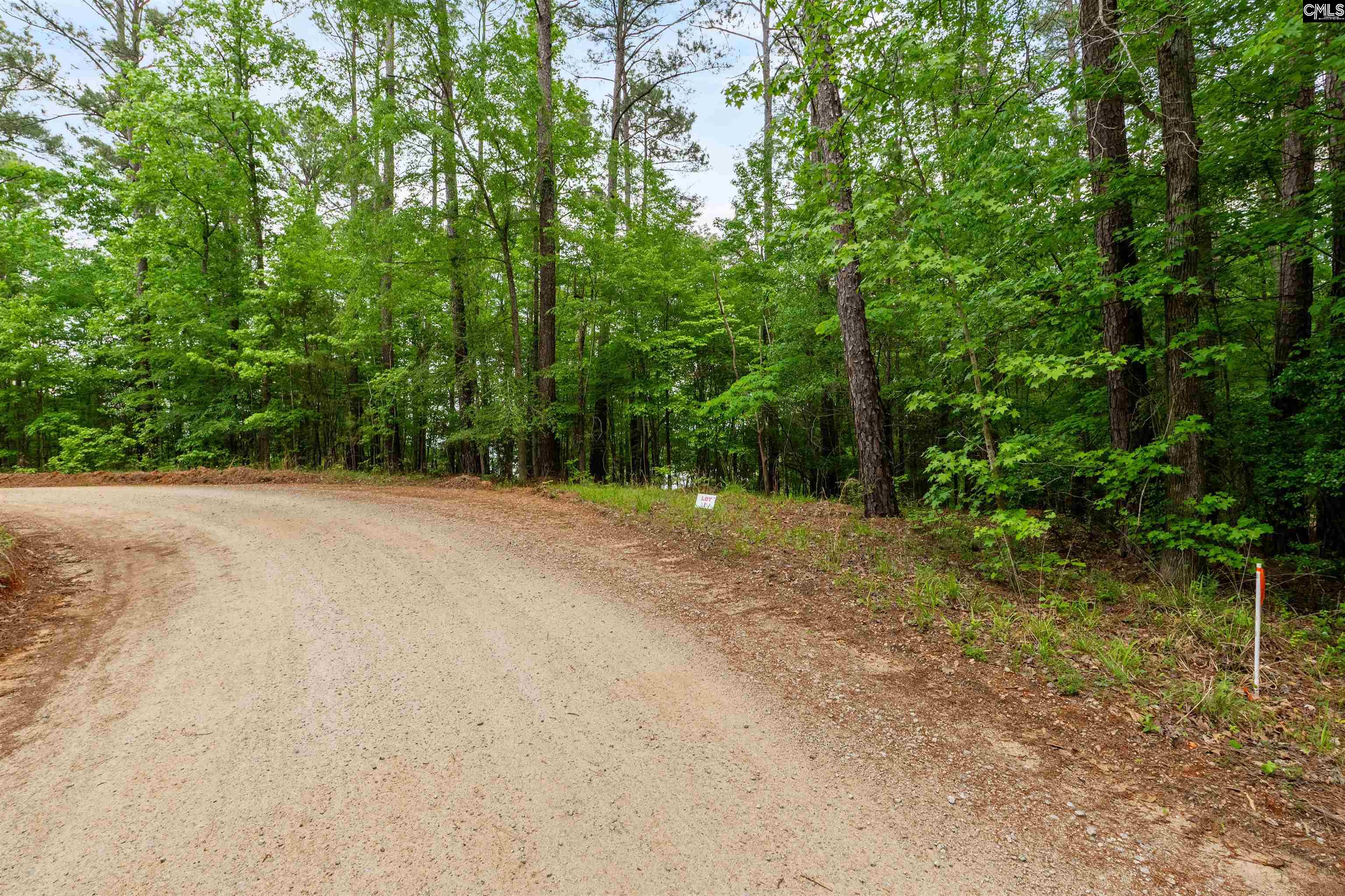  1427- Buck Hill Landing Road  Ridgeway, SC - 物件實景
