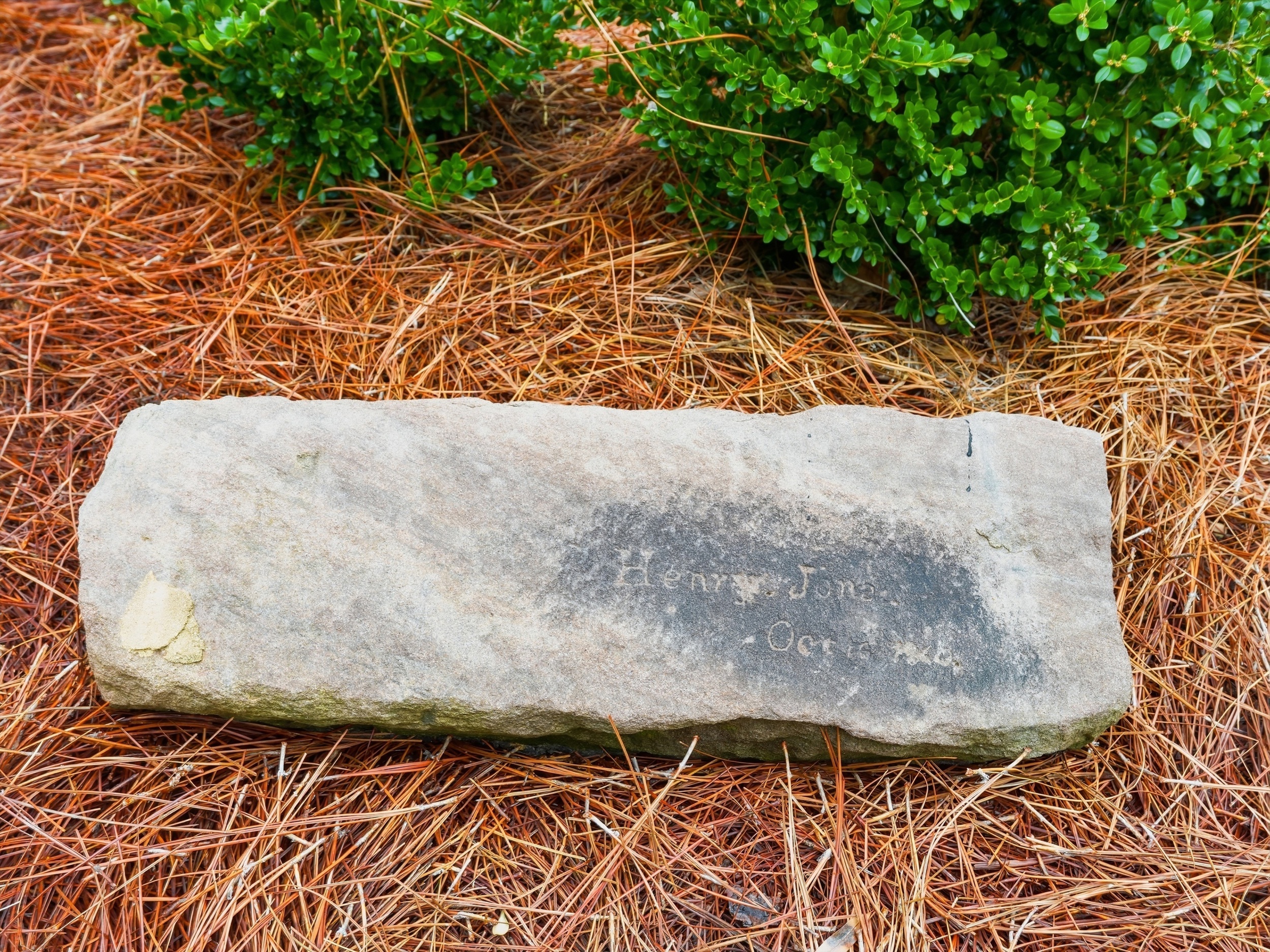  123 Harmony Hill Lane, Cary, NC 27513 - 物件實景