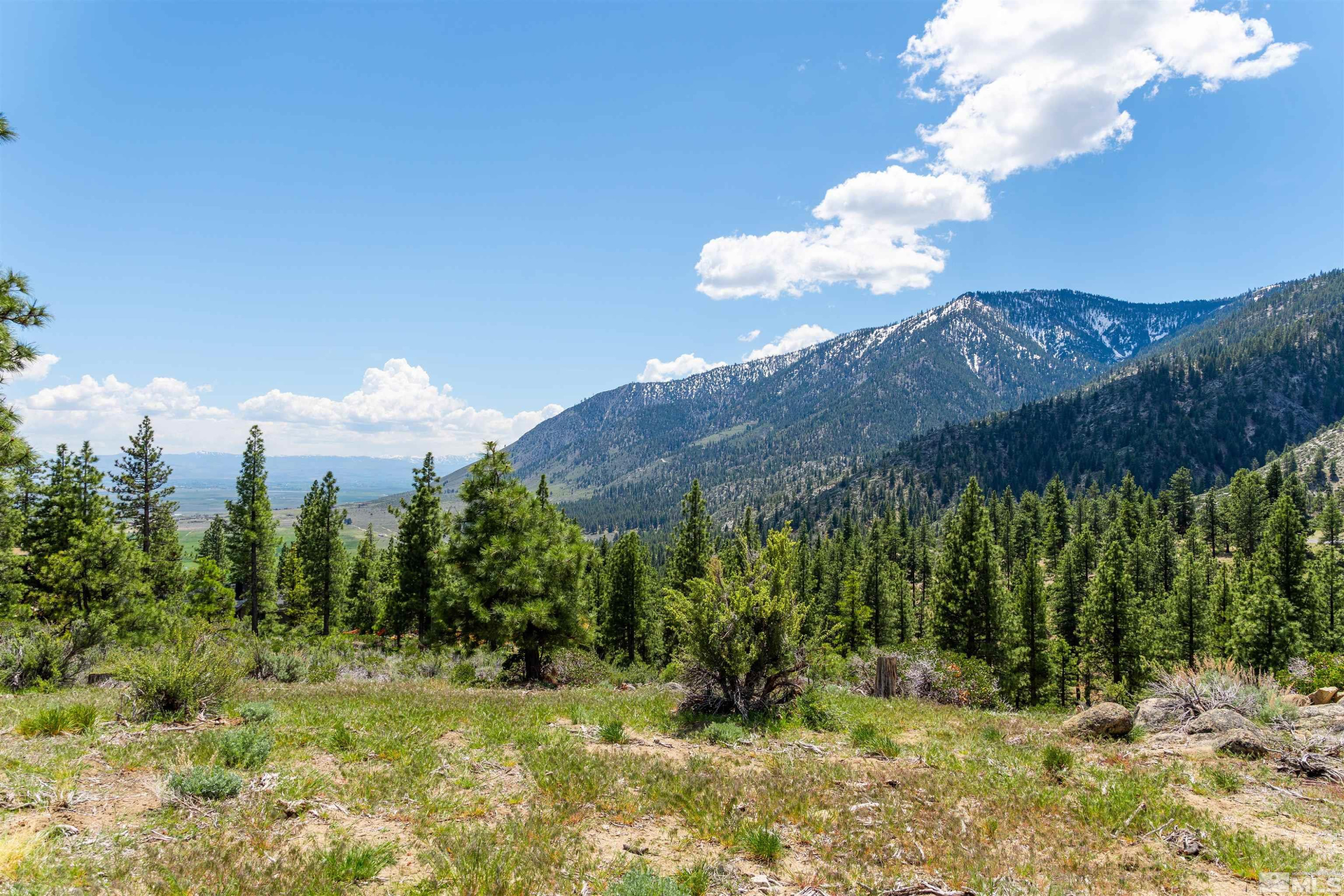 Carson City, Nevada, 89705, United States, ,Land,For Sale,1828130
