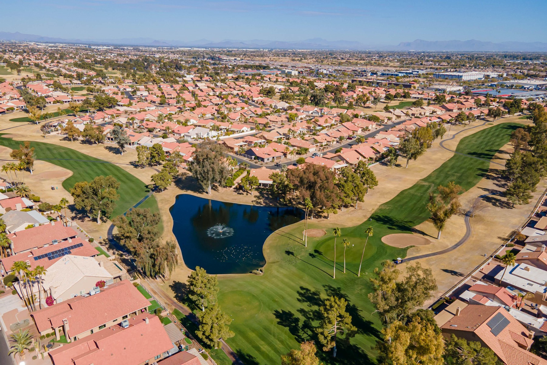  26202 S Flame Tree Drive  Sun Lakes, AZ - 物件實景