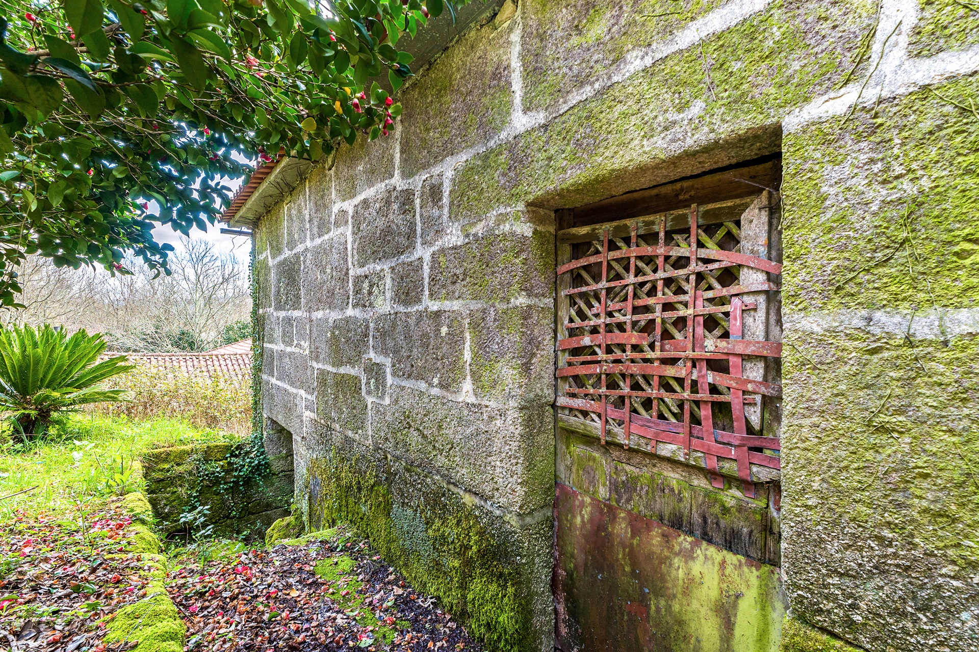  Farm for Sale - 物件實景