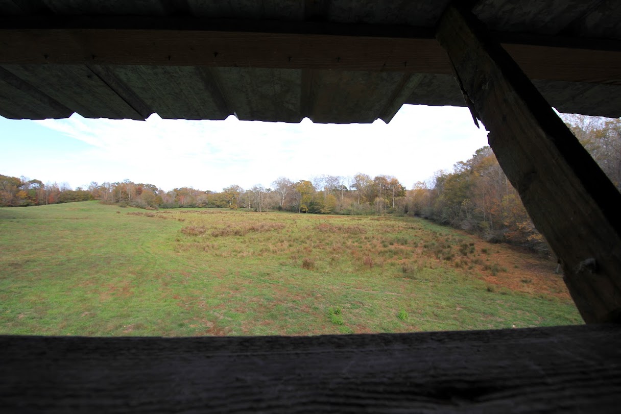 Bowdon, Georgia, 30108, United States, ,Land,For Sale,1989904