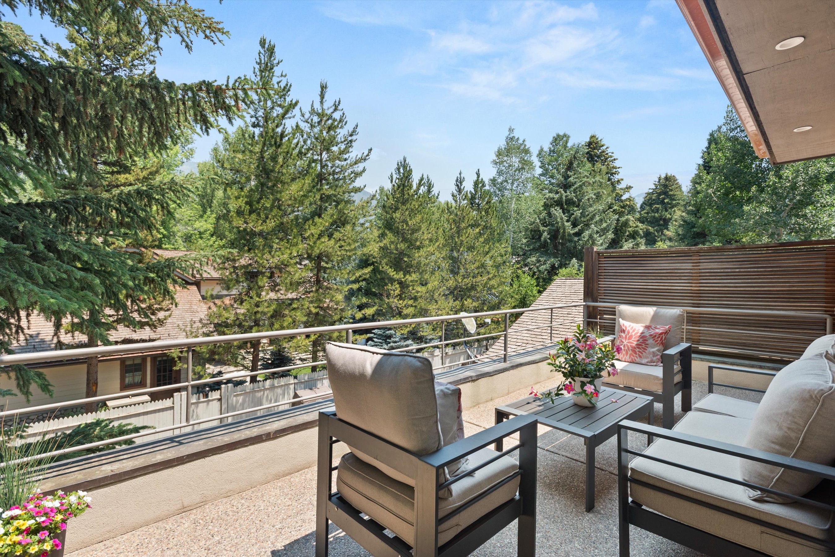  736 W Smuggler Street, Aspen, CO, 81611 - 物件實景