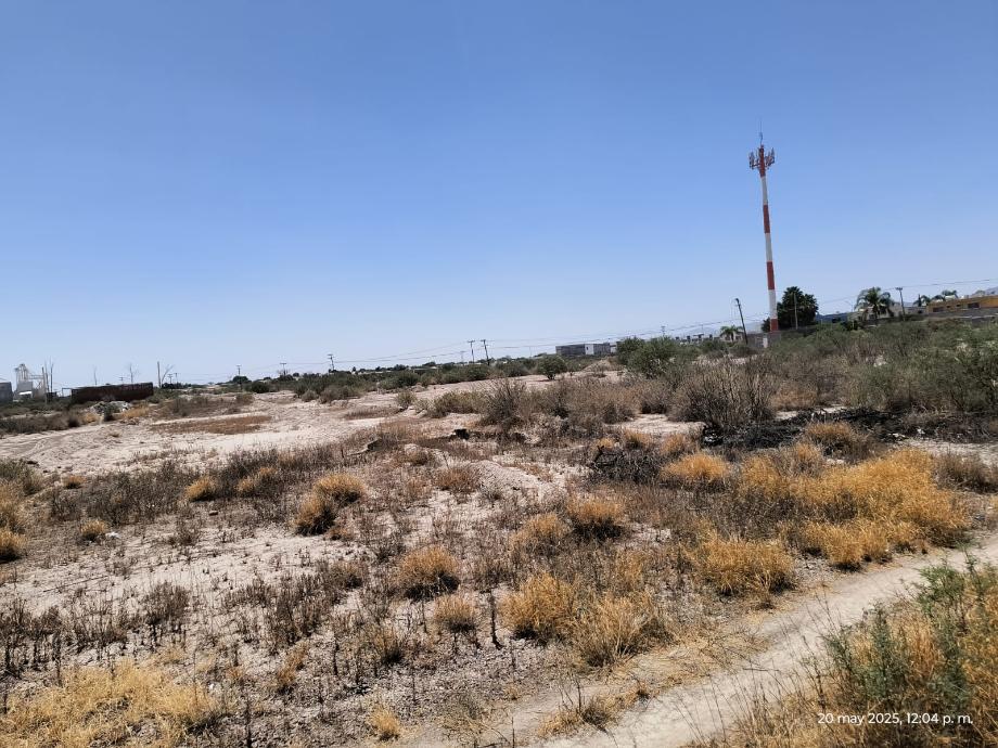 Gómez Palacio, Durango, 35079, Mexico, 1 Bedroom Bedrooms, ,Residential,For Sale,1838760