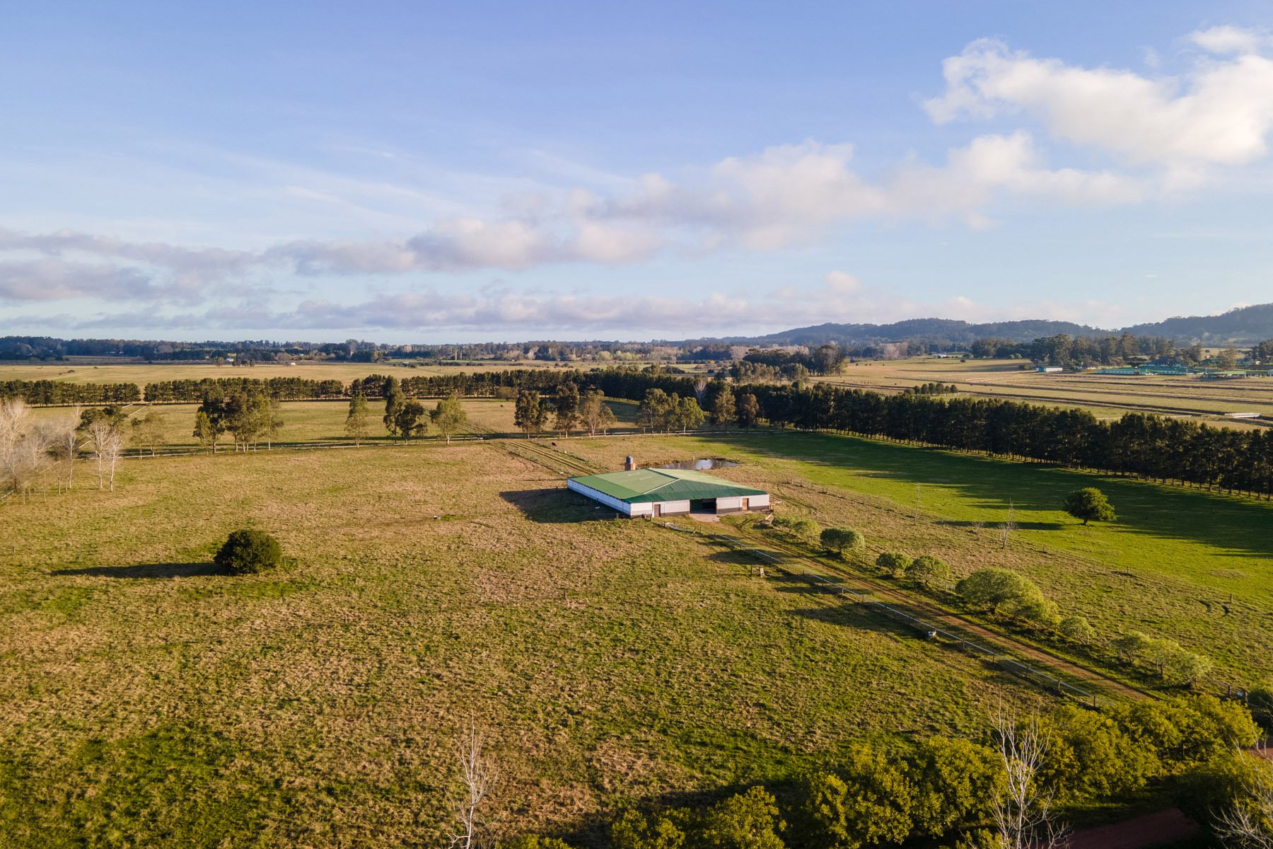  NAHUEL Stud Farm - 物件實景