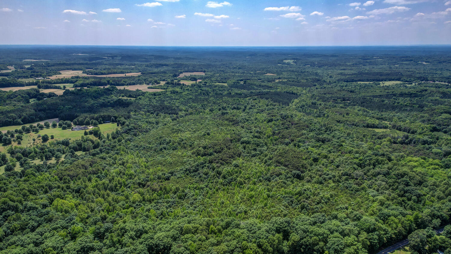 Blanch, North Carolina, 27212, United States, ,Residential,For Sale,1920300