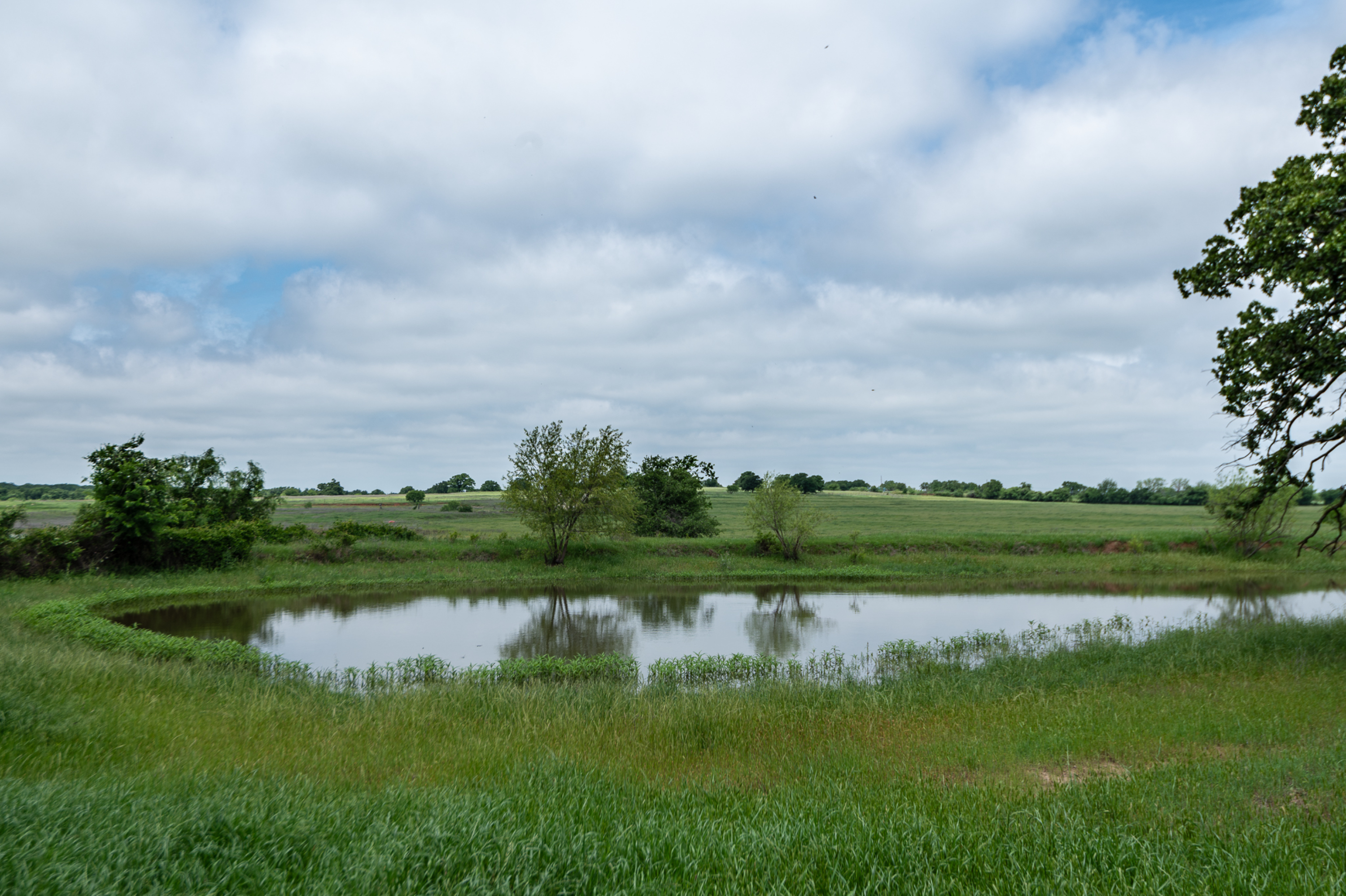  Rolling Oaks Ranch - 物件實景