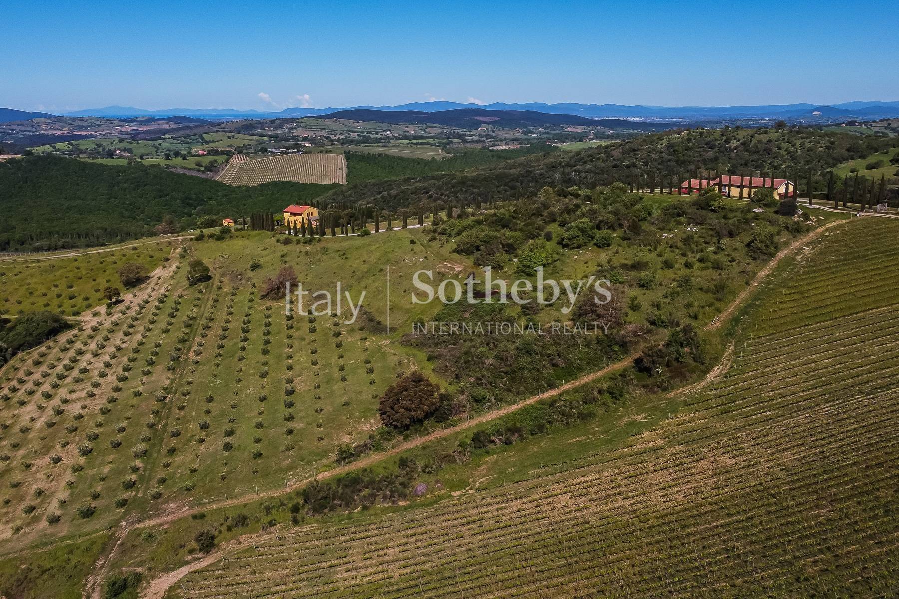  Exclusive wine estate in the Tuscan hills - 物件實景