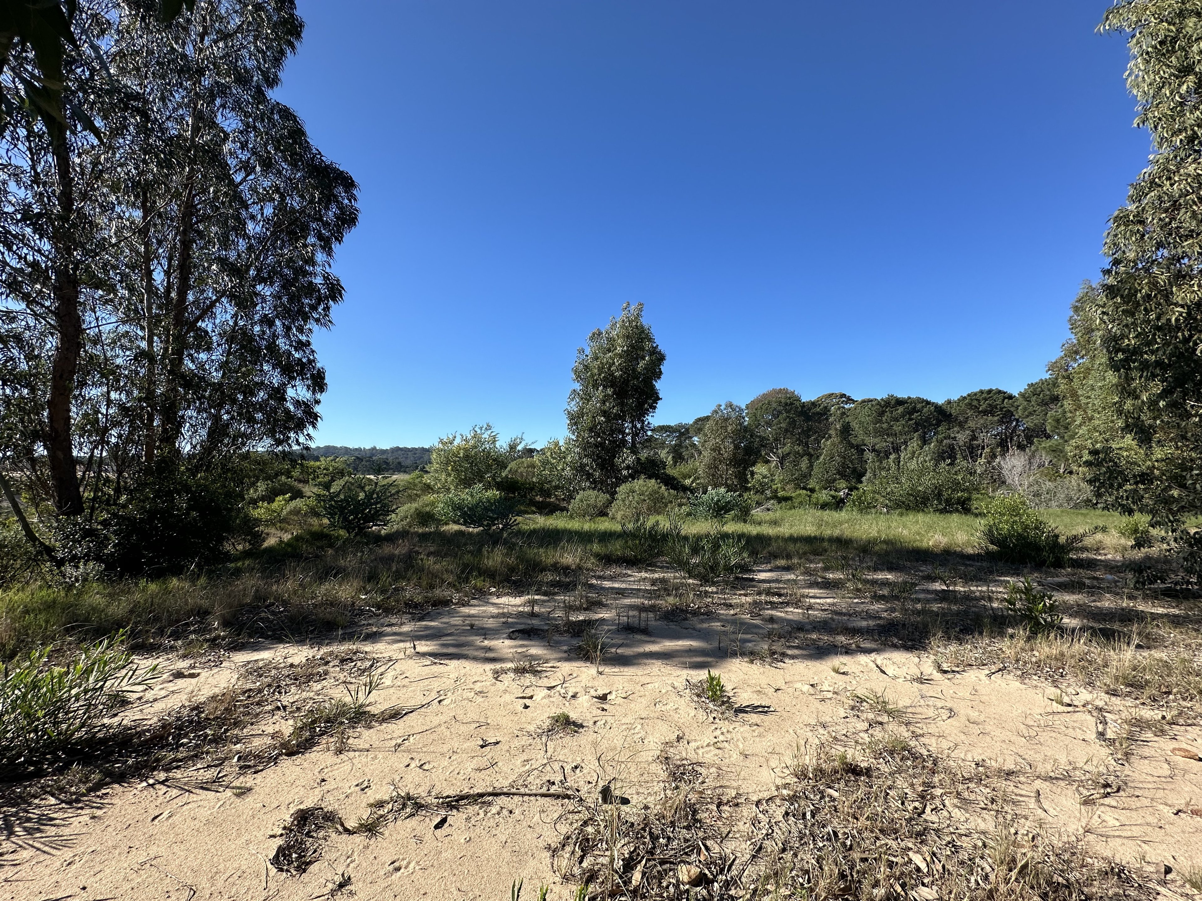  Excellent lot in Bosque de Punta Ballena - 物件實景