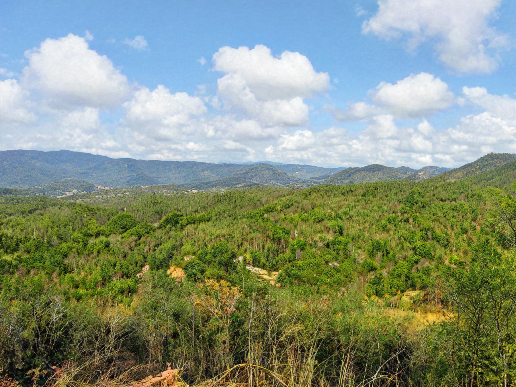 Union Mills, North Carolina, 28167, United States, ,Land,For Sale,1984328