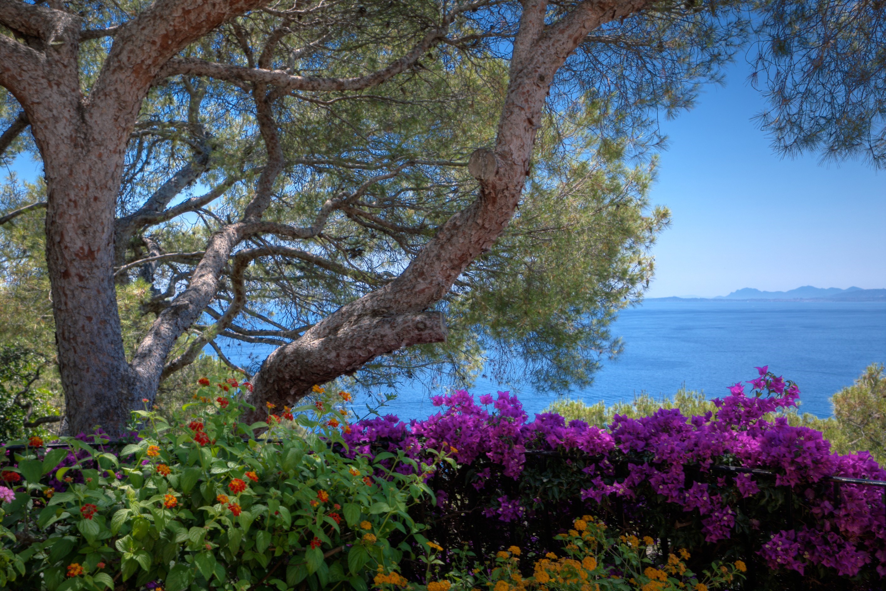  Exceptional provençal villa Cap-Ferrat, panoramic sea views, pool, landscaped g… - 物件實景