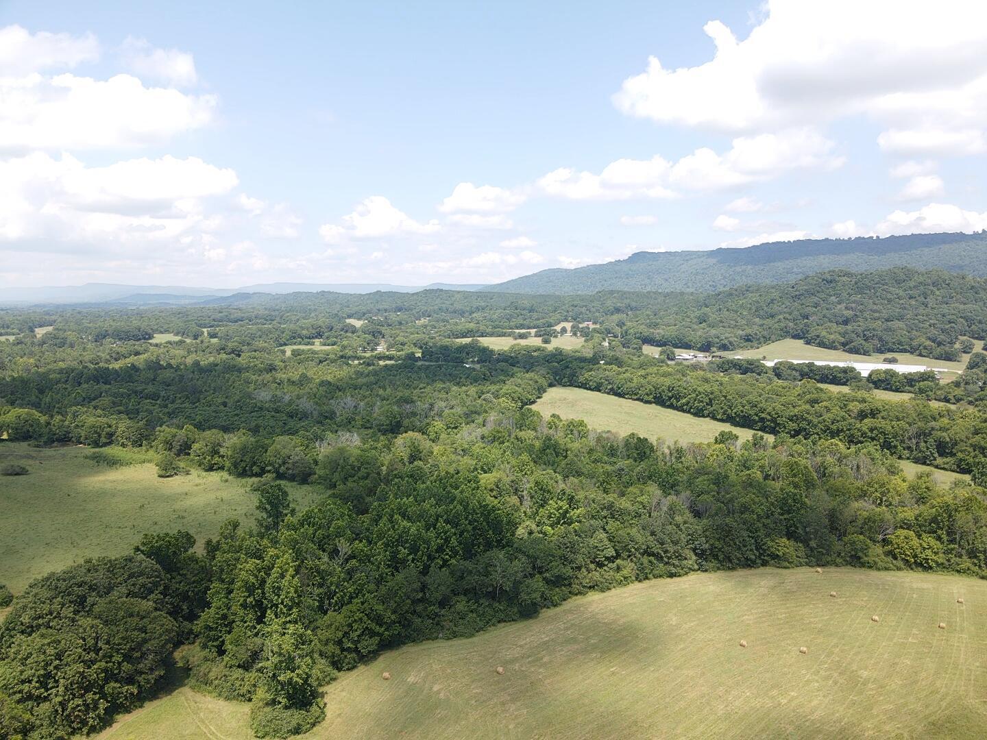 Bryant, Alabama, 35958, United States, ,Land,For Sale,1982684