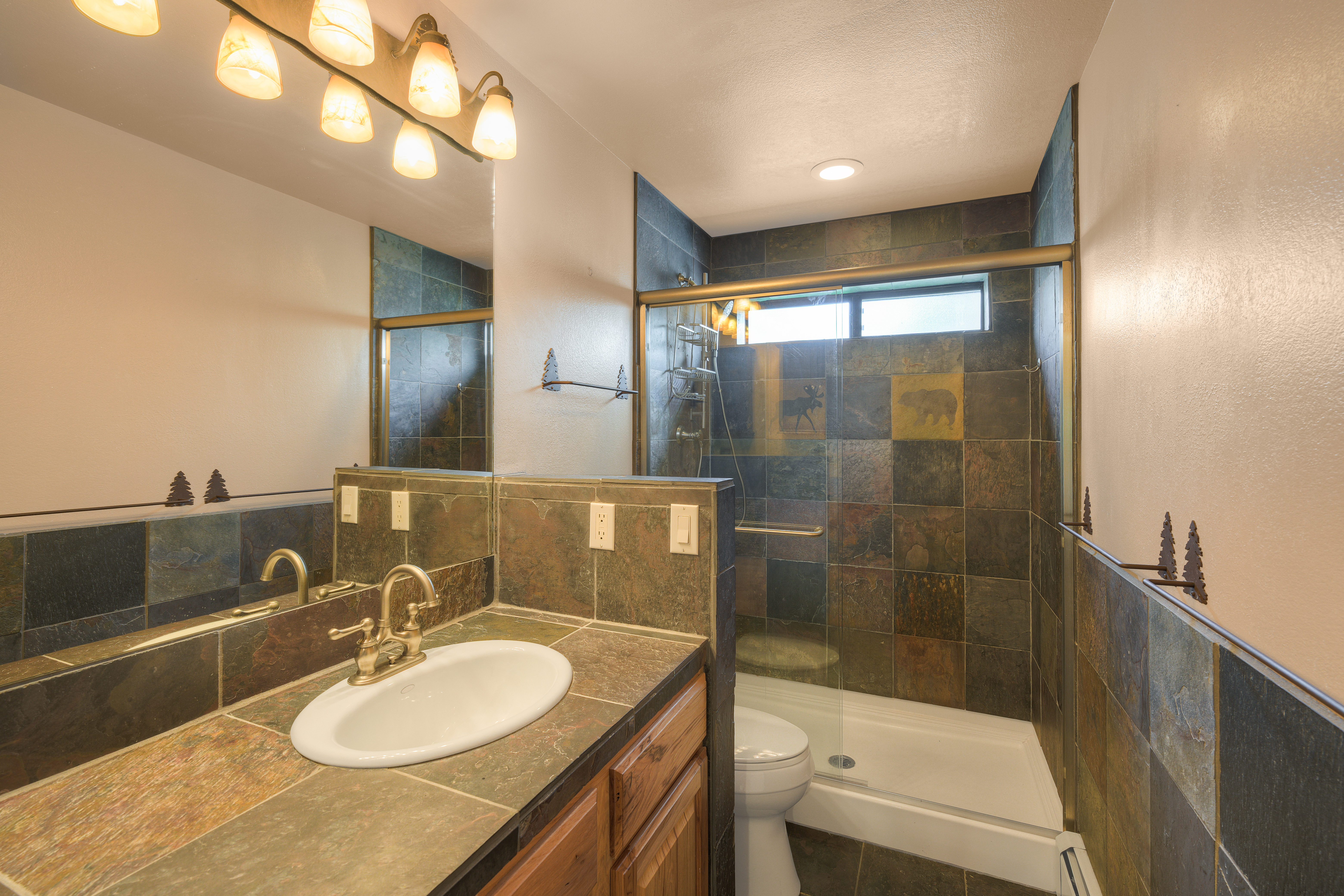  114 Park Forest Drive, Breckenridge, CO, 80424 - 物件實景