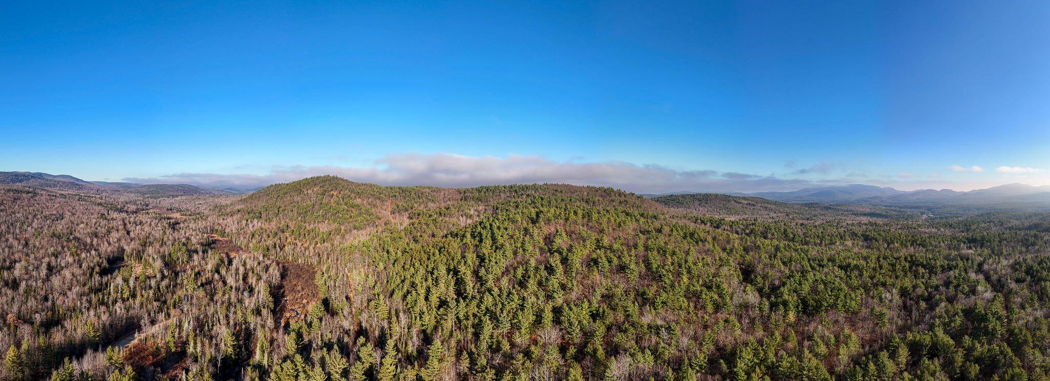 358 Buck Hill Road, Black Brook, New York, 12912, United States, ,Land,For Sale,358 Buck Hill Road,1668250