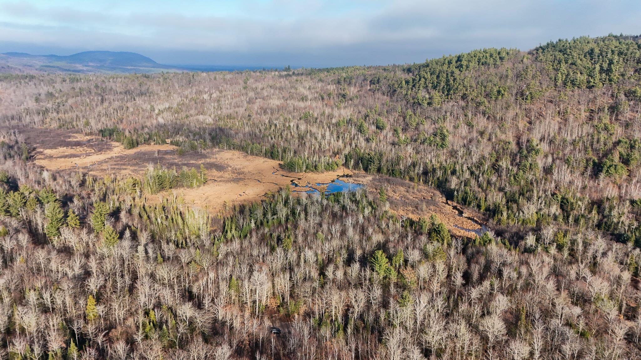 358 Buck Hill Road, Black Brook, New York, 12912, United States, ,Land,For Sale,358 Buck Hill Road,1668250