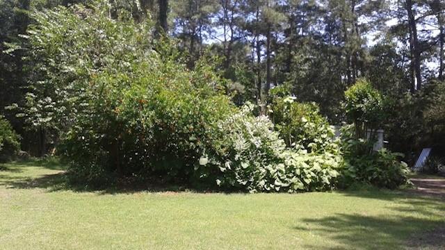 Conroe, Texas, 77304, United States, 3 Bedrooms Bedrooms, ,3 BathroomsBathrooms,Residential,For Sale,1692653