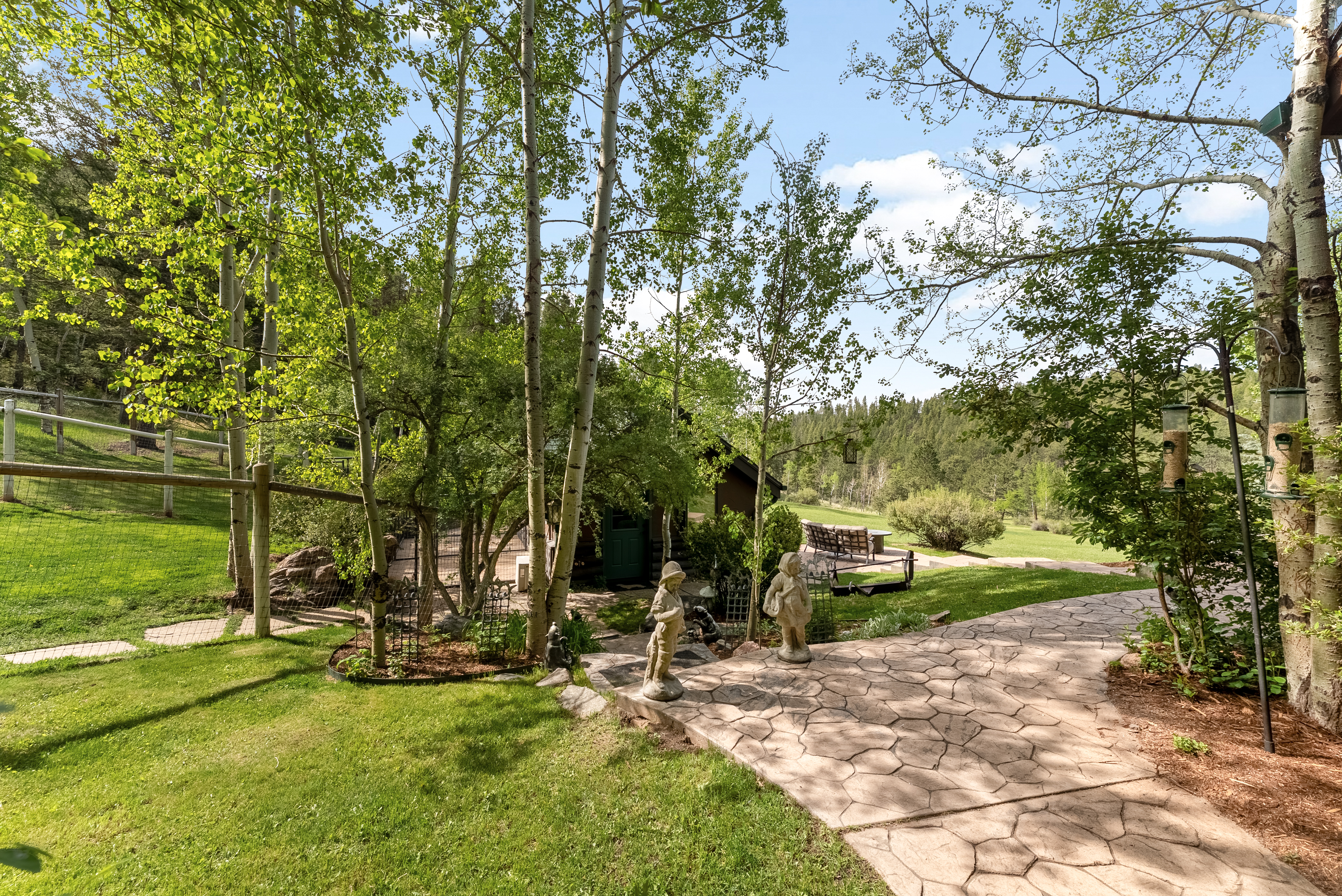 .275 acres of rolling grass, towering trees, & mountain views in every direction - 物件實景
