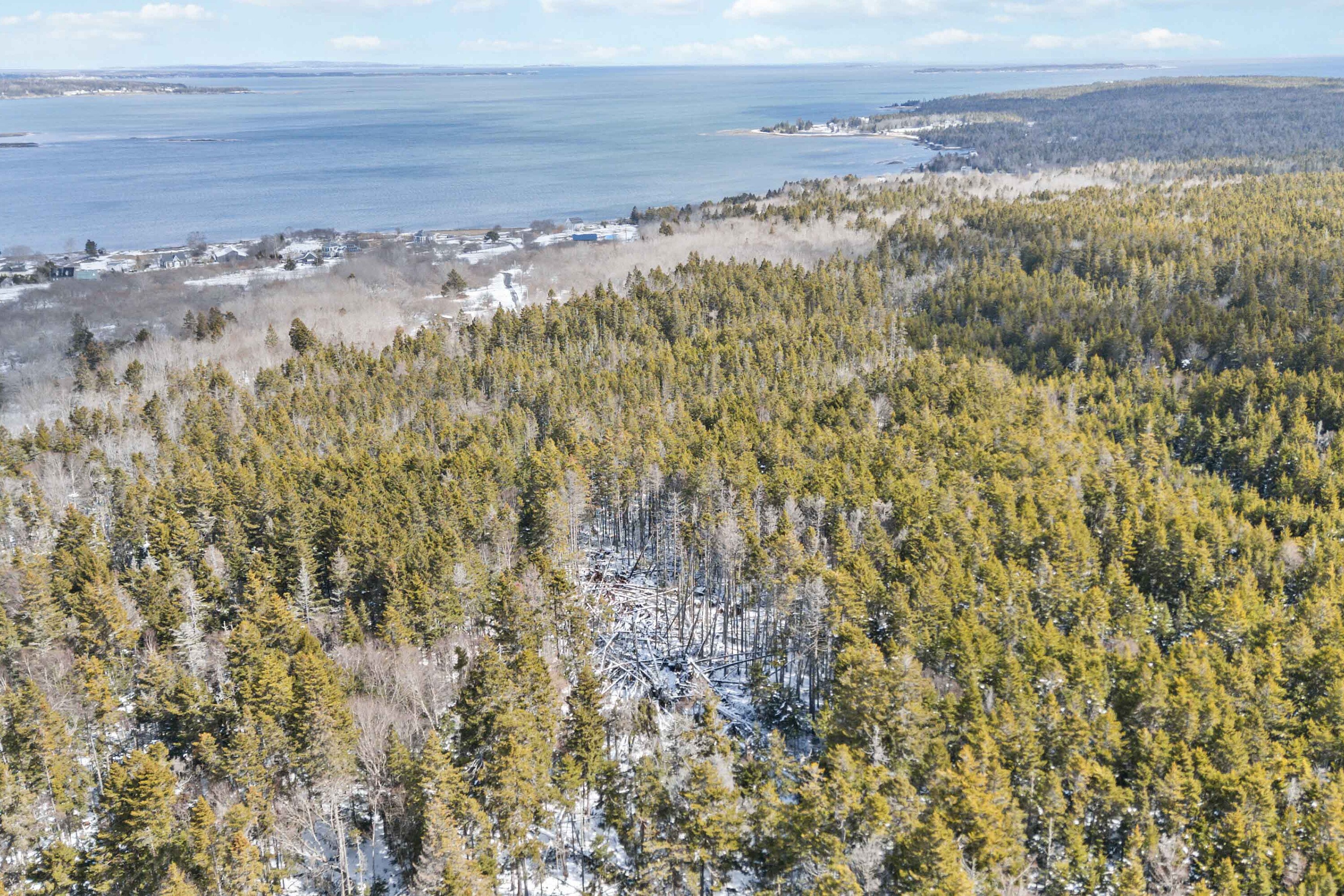  Lower Rose Bay, - 物件實景