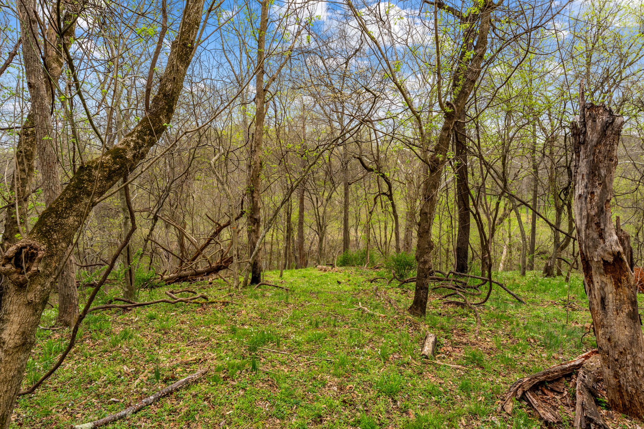  14039 Amys Meadow Court, Leesburg, VA, 20176 - 物件實景