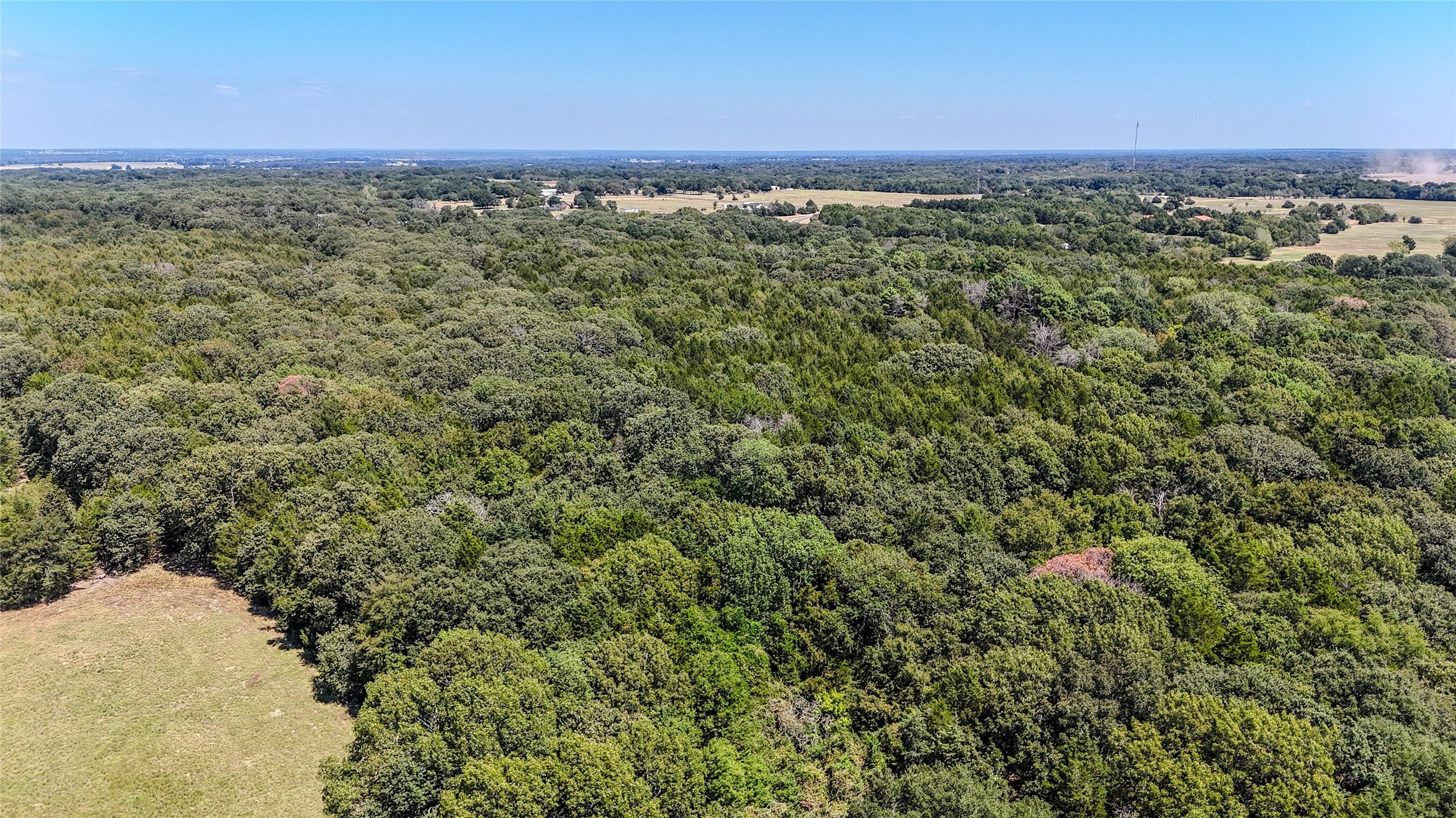 Ivanhoe, Texas, 75447, United States, ,Land,For Sale,1973742