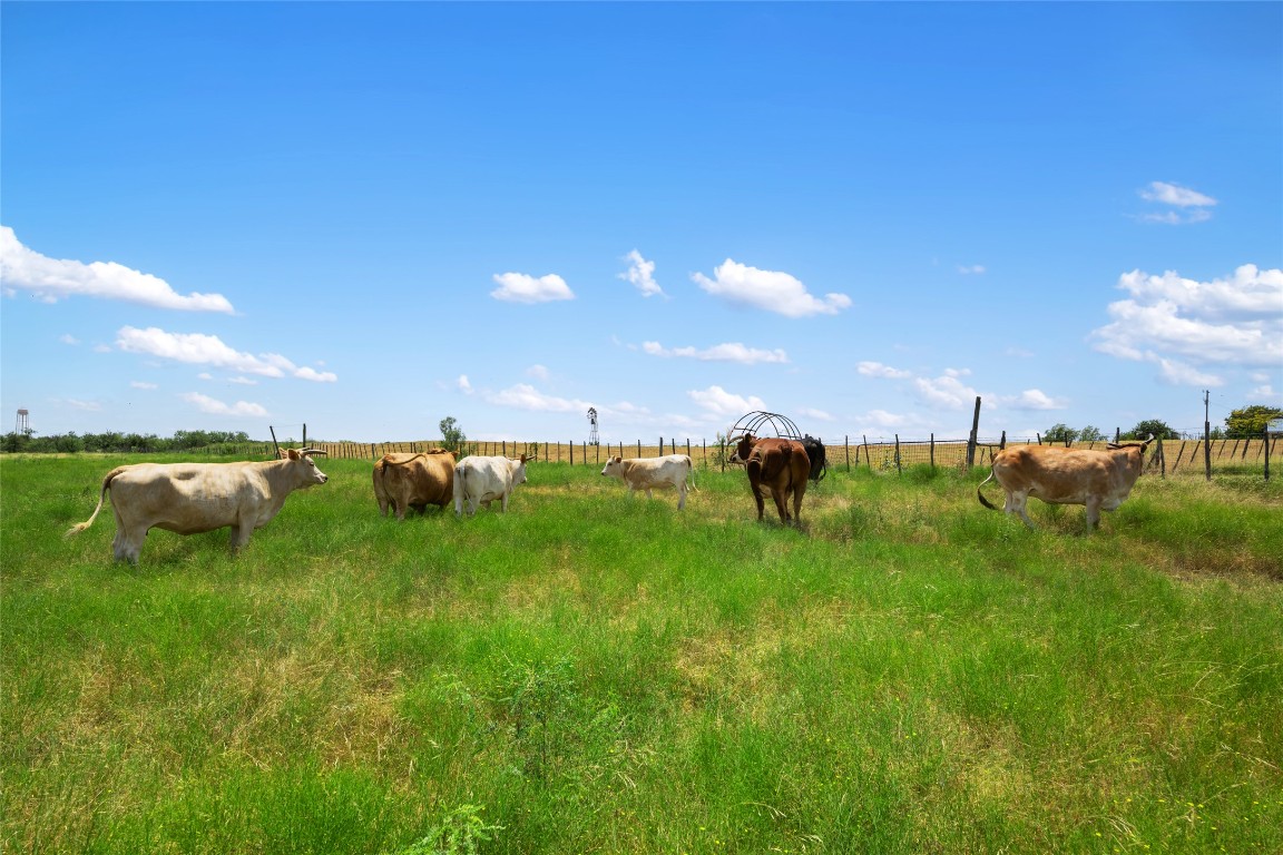 Jarrell, Texas, 76537, United States, ,Land,For Sale,1912274