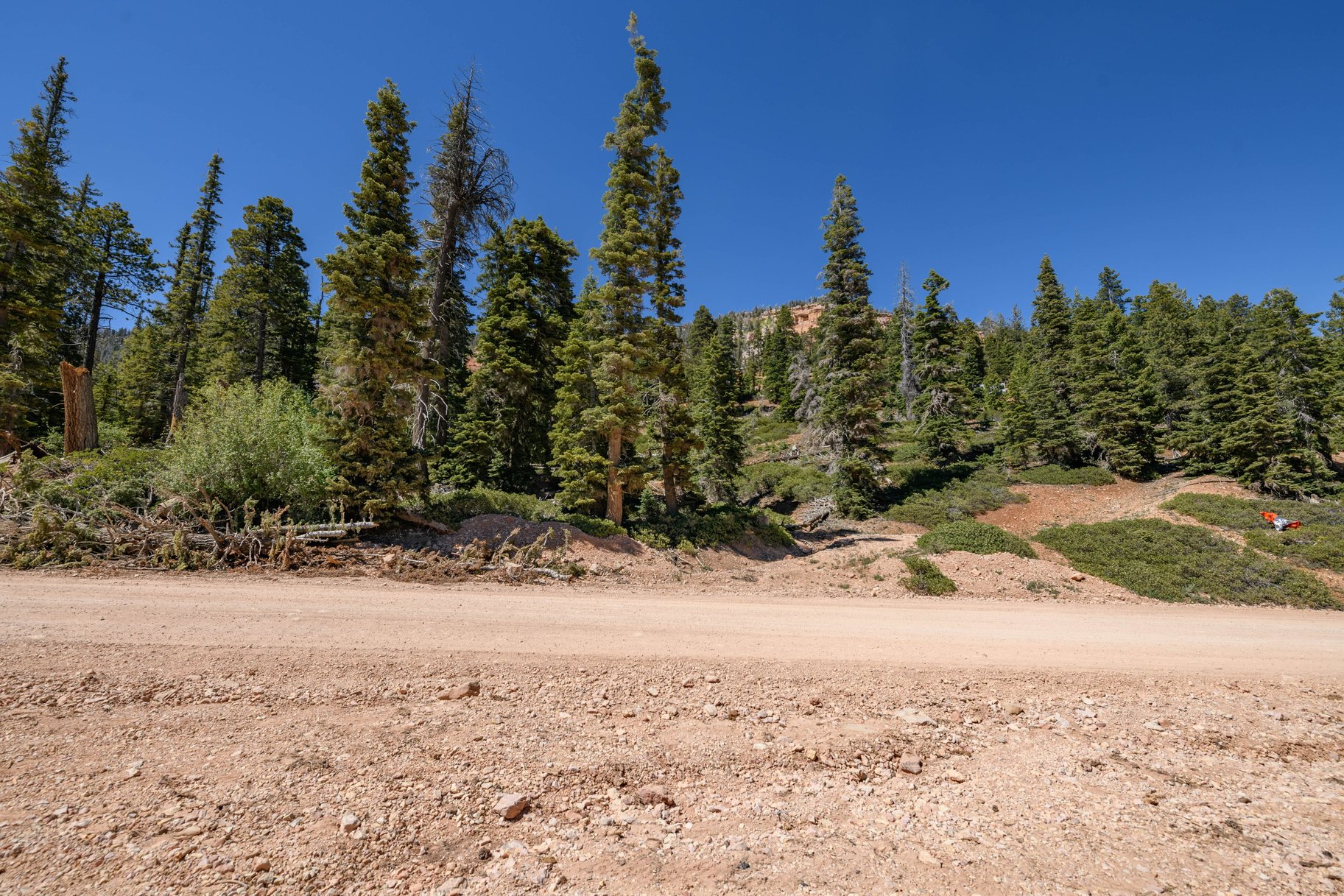 Quiet Mountain Retreat Near Navajo Lake - 物件實景