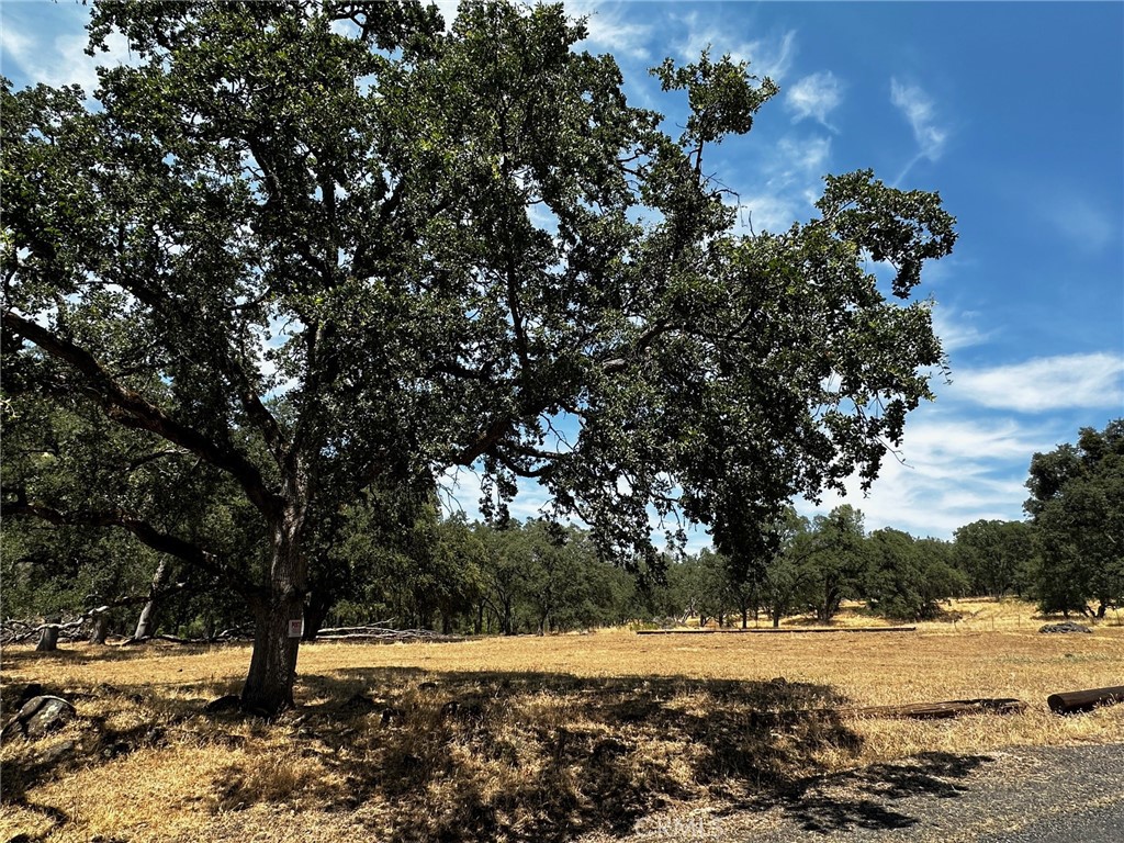 Chico, California, 95928, United States, ,Land,For Sale,1974273