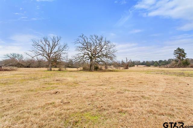 Van, Texas, 75790, United States, ,Land,For Sale,1981017